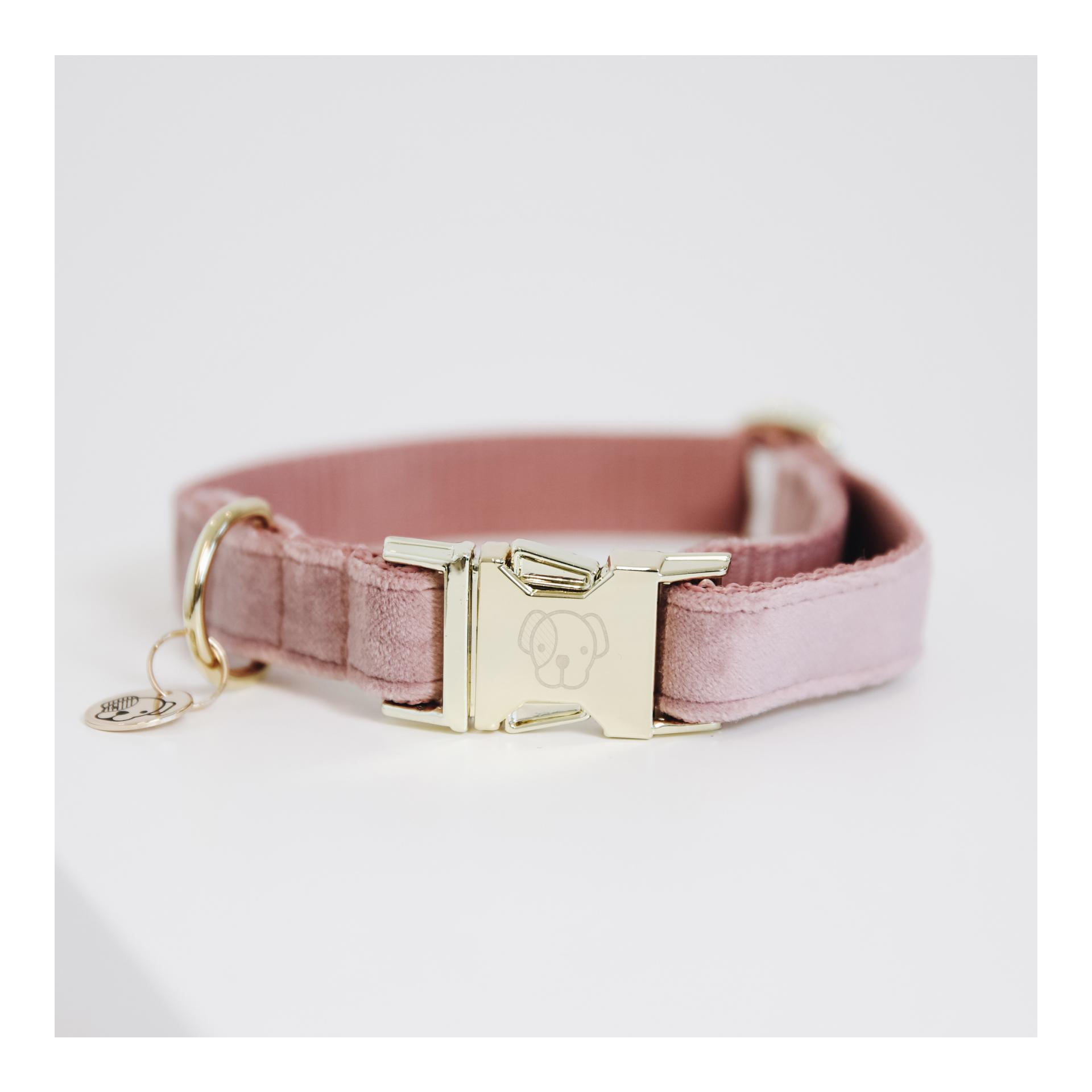 Kentucky Dogwear Collier pour chien velours - vieux rose
