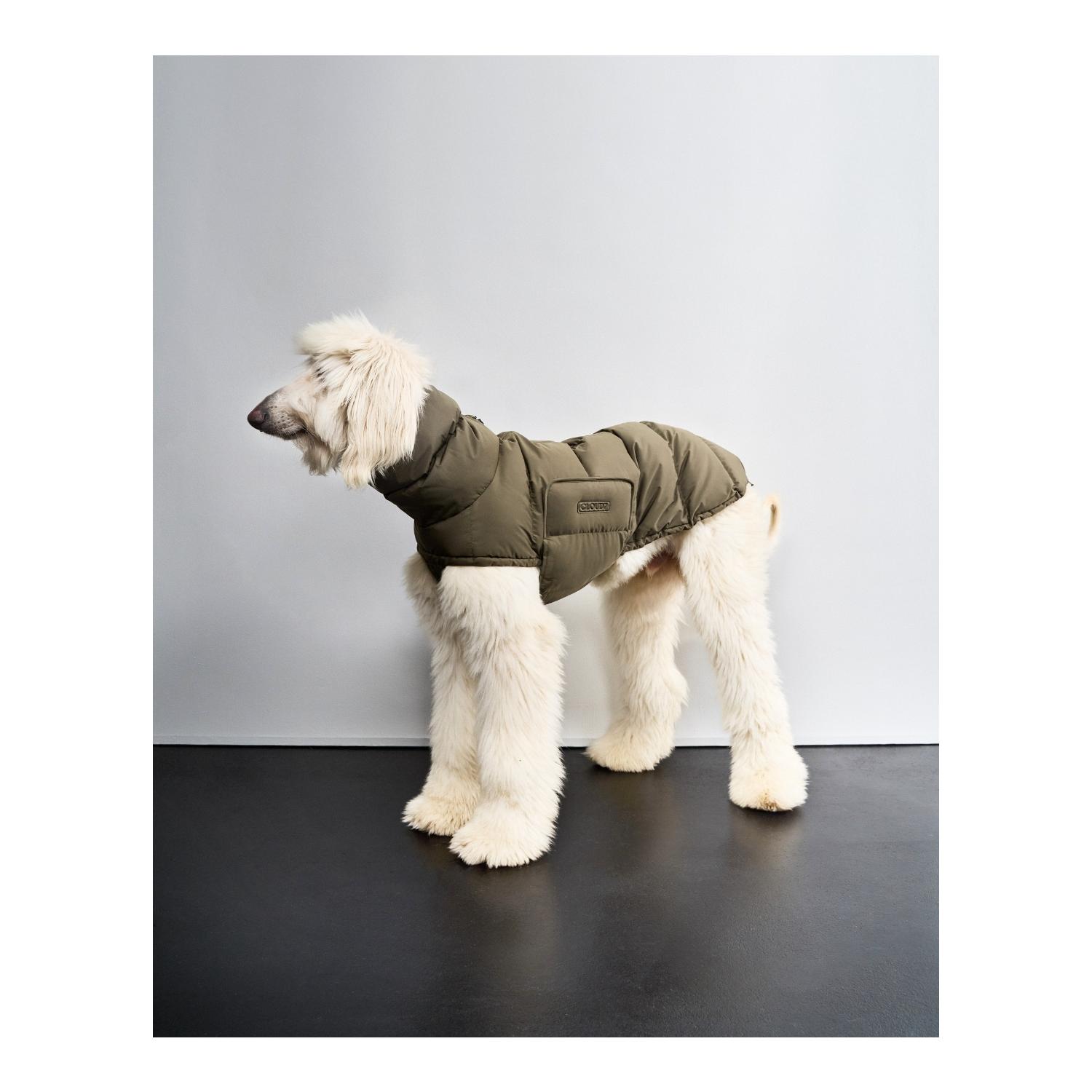 Cloud 7 Manteau d'hiver pour chien Alaska