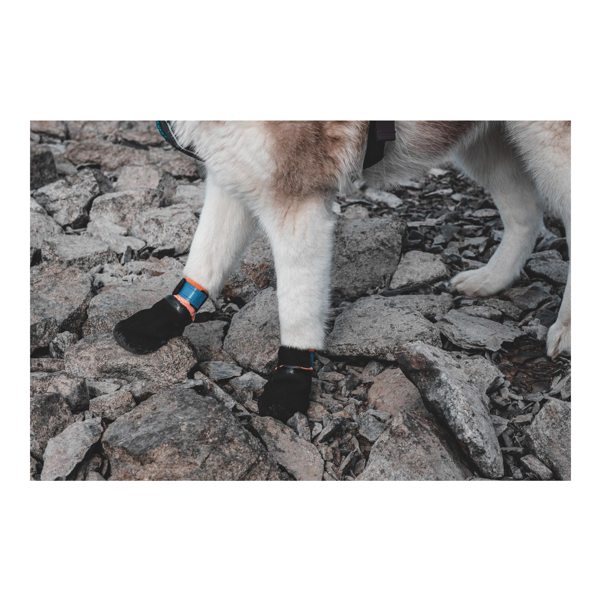 Non-stop Dogwear Protector Booties