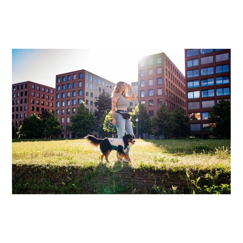 Non-stop Dogwear Veste rafraîchissante pour chien à enfiler