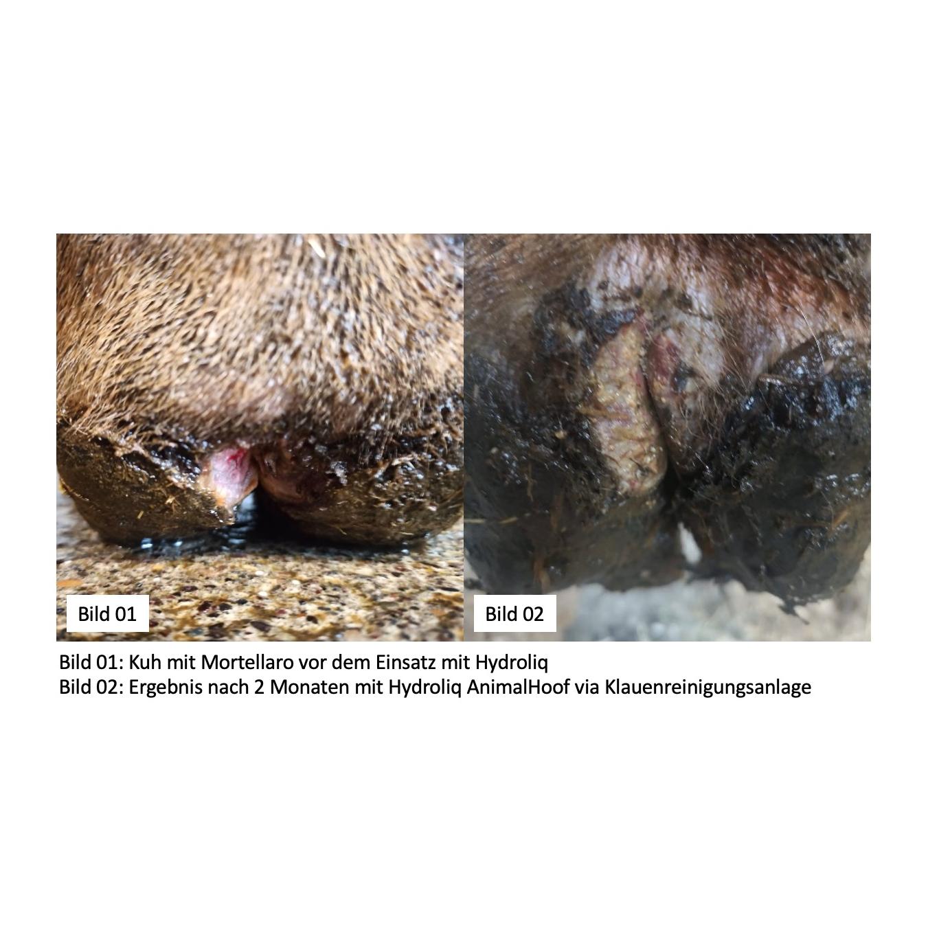 Hydroliq Désinfectant pour onglons AnimalHoof