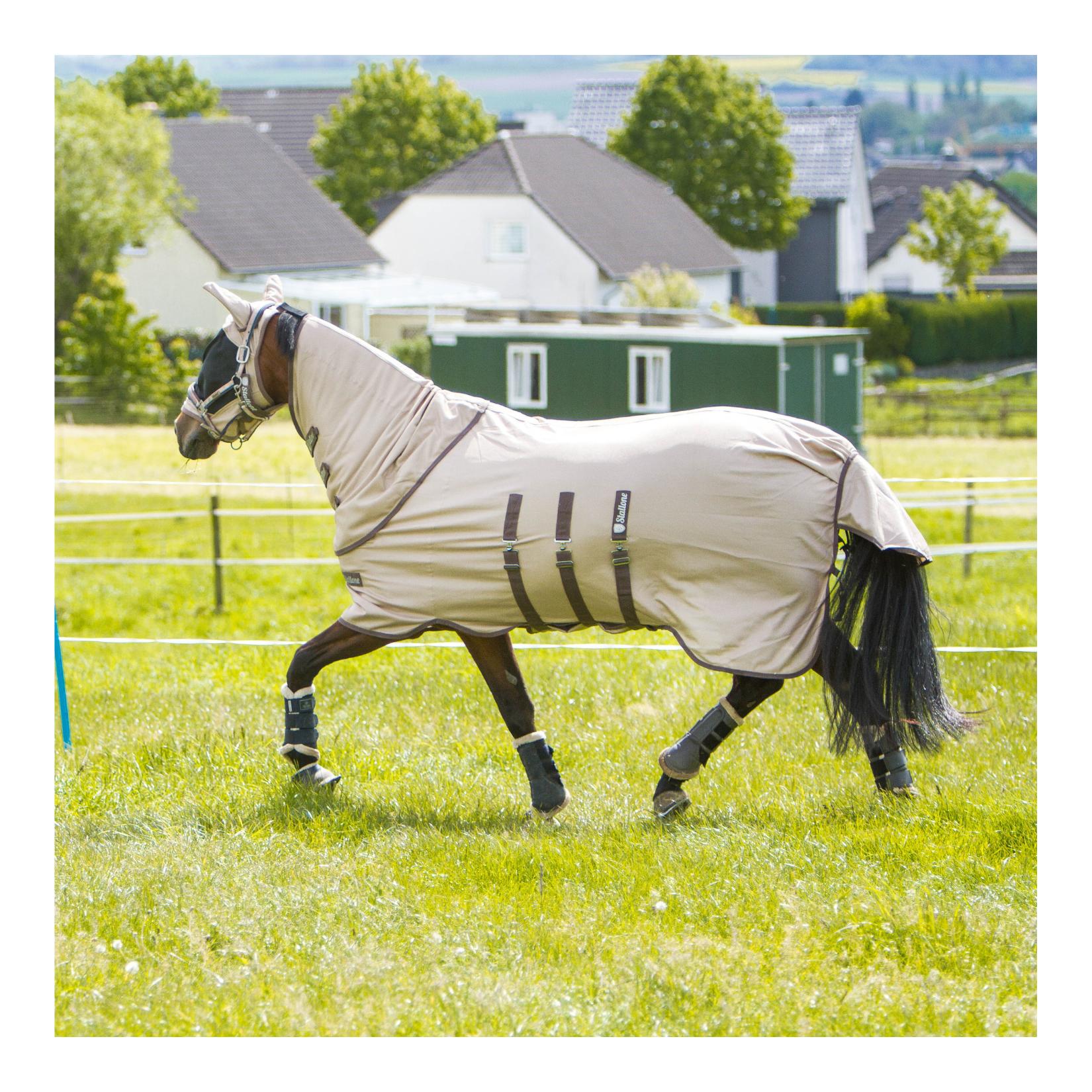 Stallone Halsteil Summer Guard