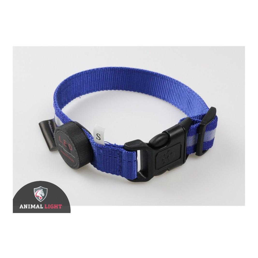 Animal Light Leucht - Hundehalsband "Cash"