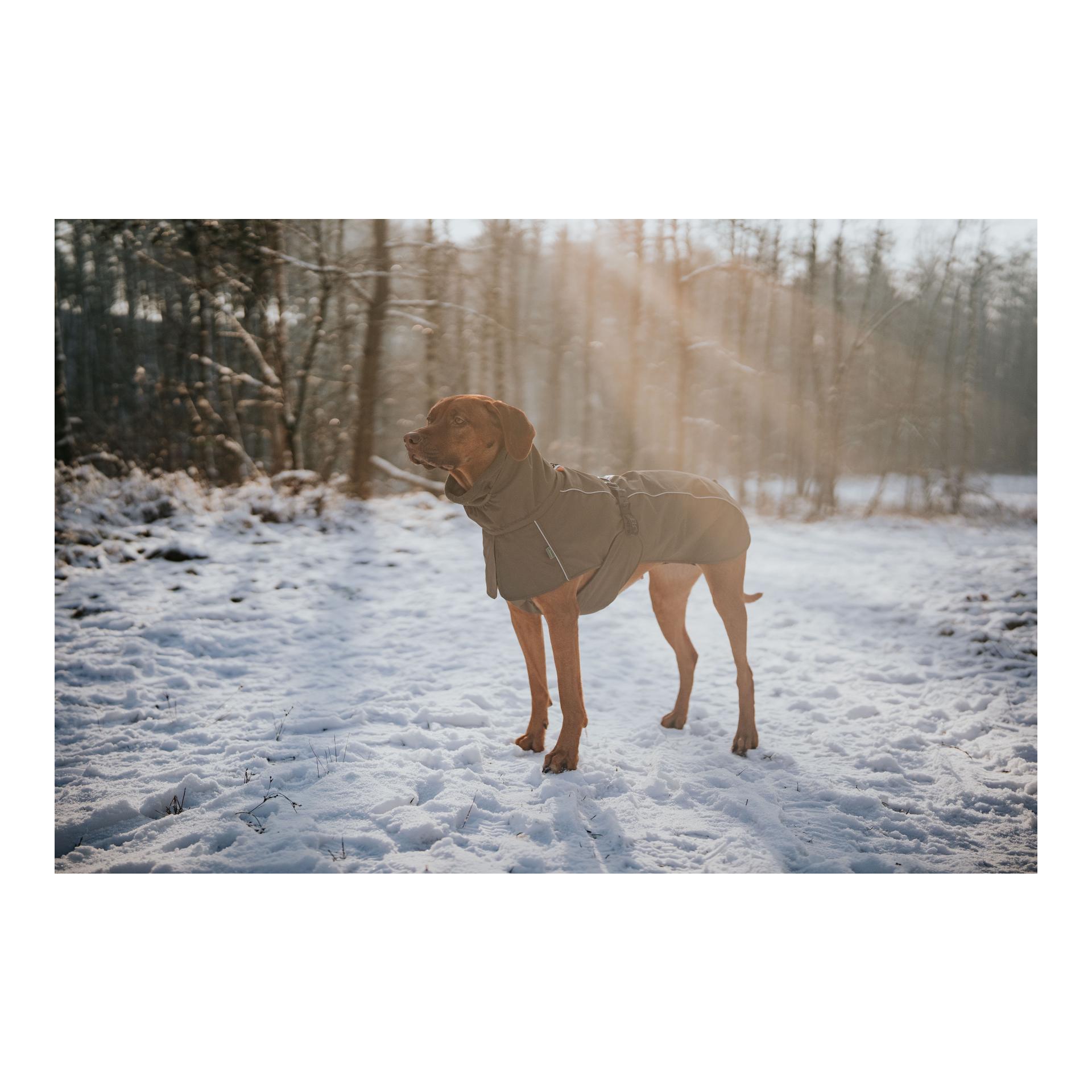 Hunter Manteau pour chien Nordby