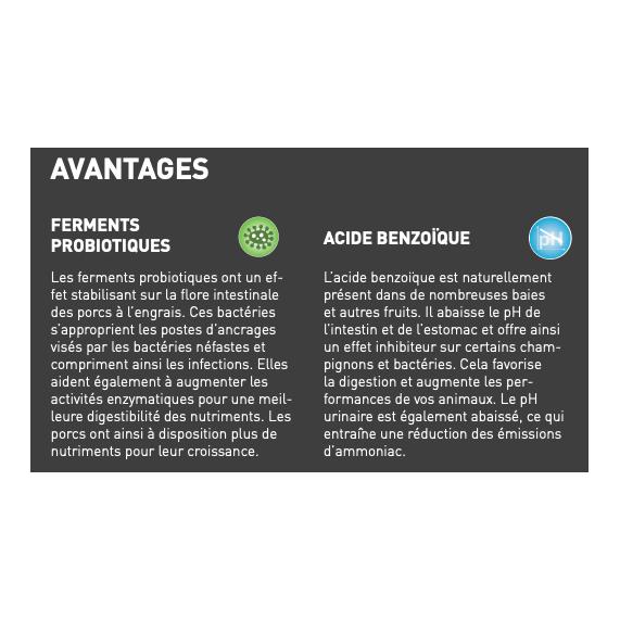 granovit Mast Maxi Plus - Aliment d'engraissement pour porcs, semoule