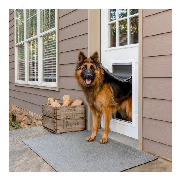 PetSafe Aluminiumm-Haustiertür für extremes Wetter