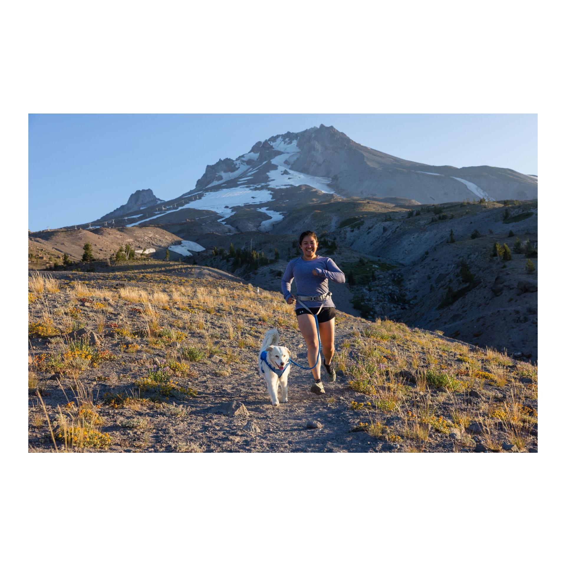 Ruffwear Trail Runner™ Belt Jogginggurt