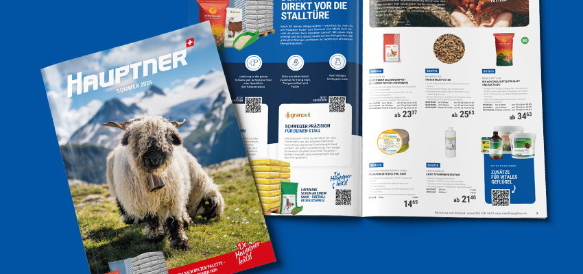 Katalog-HP-SHOP-425x200-Landingpage-DE_(1)