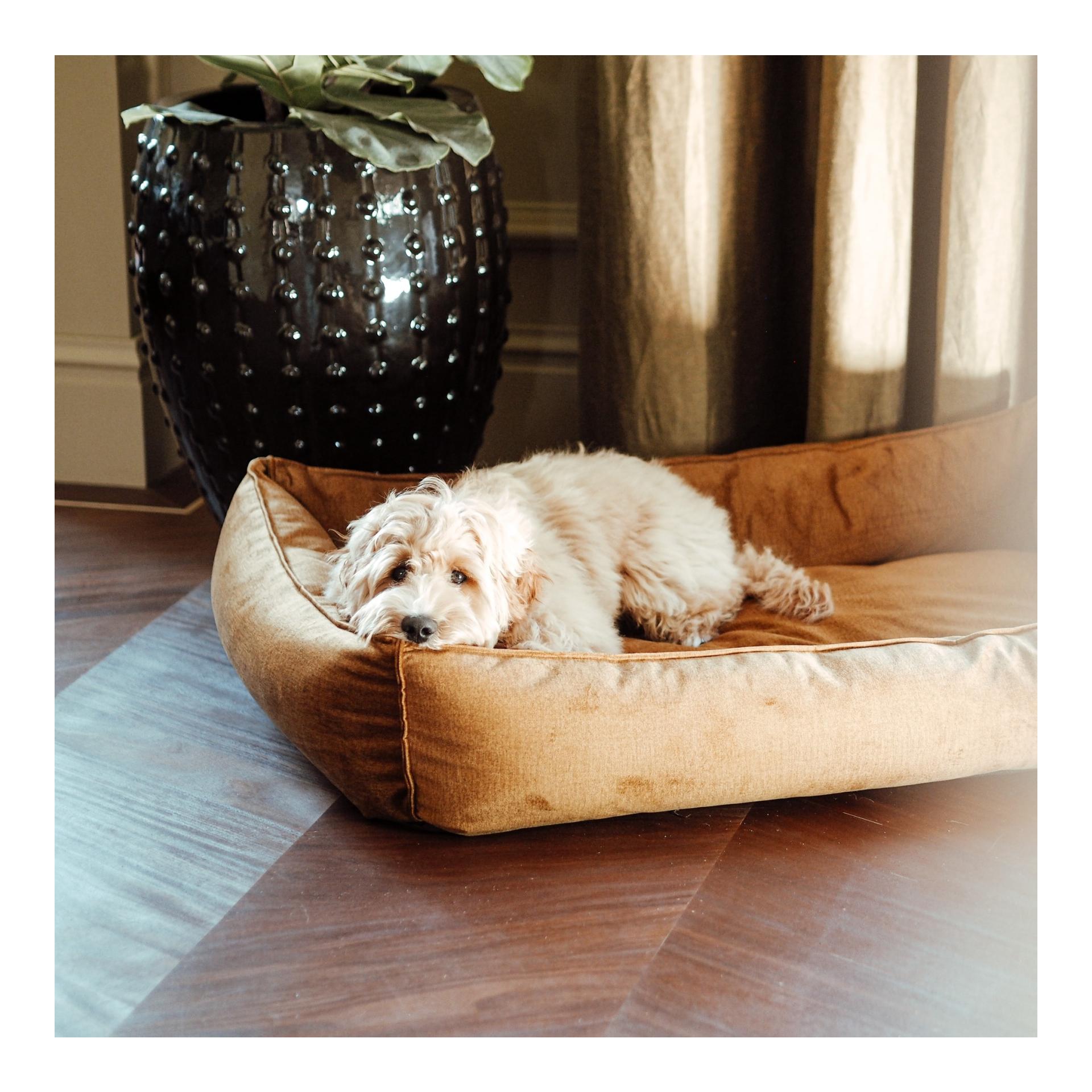 District70 Hundebett Shimmer Box Bett