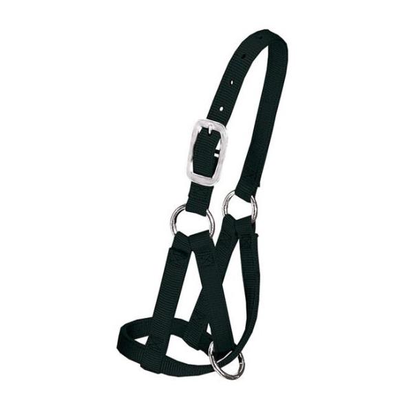 Weaver Livestock Licol pour lama - noir