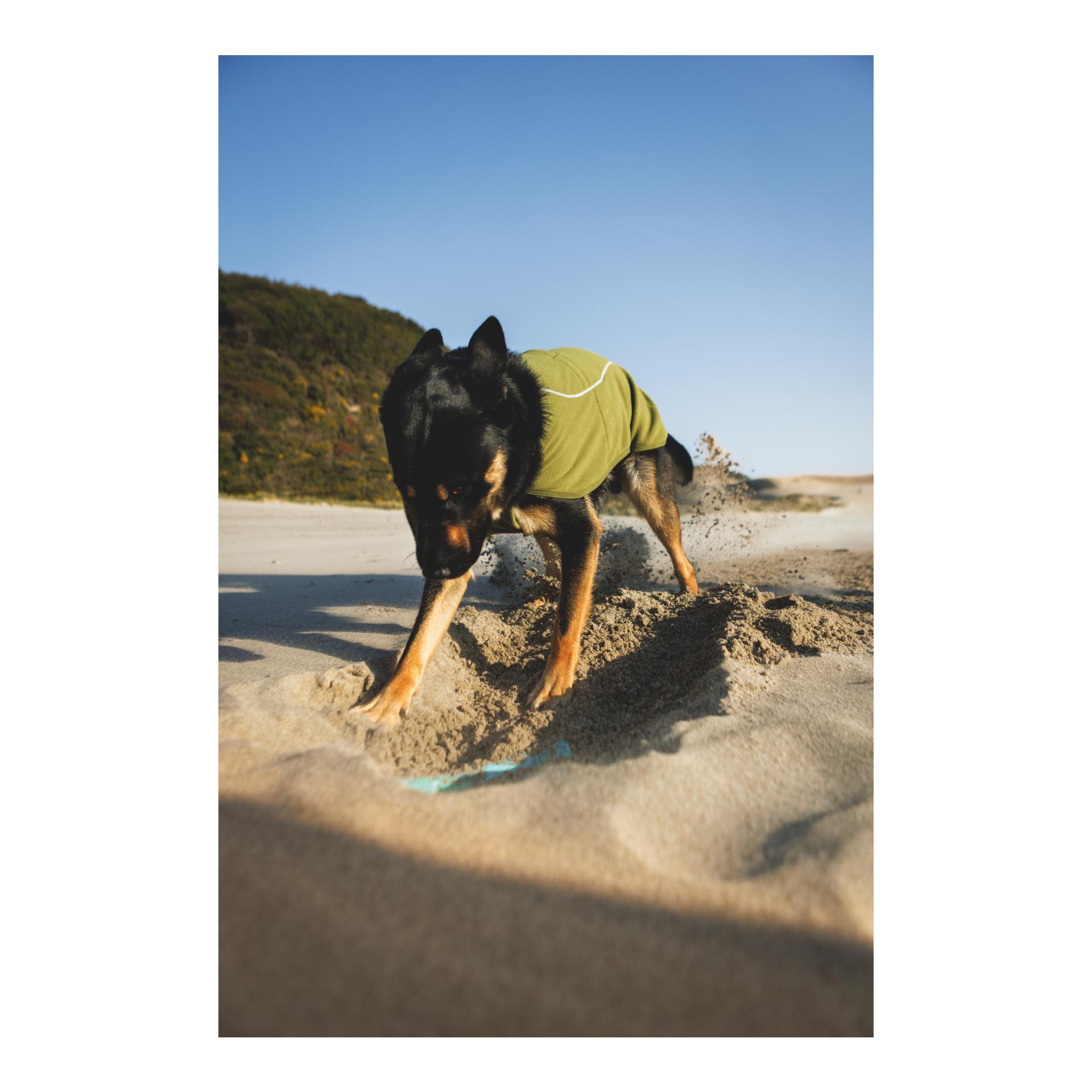 Ruffwear Climate Changer™ Fleece Vest