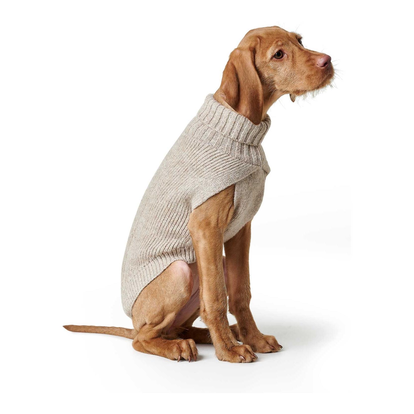 Hunter Pull pour chien Genève