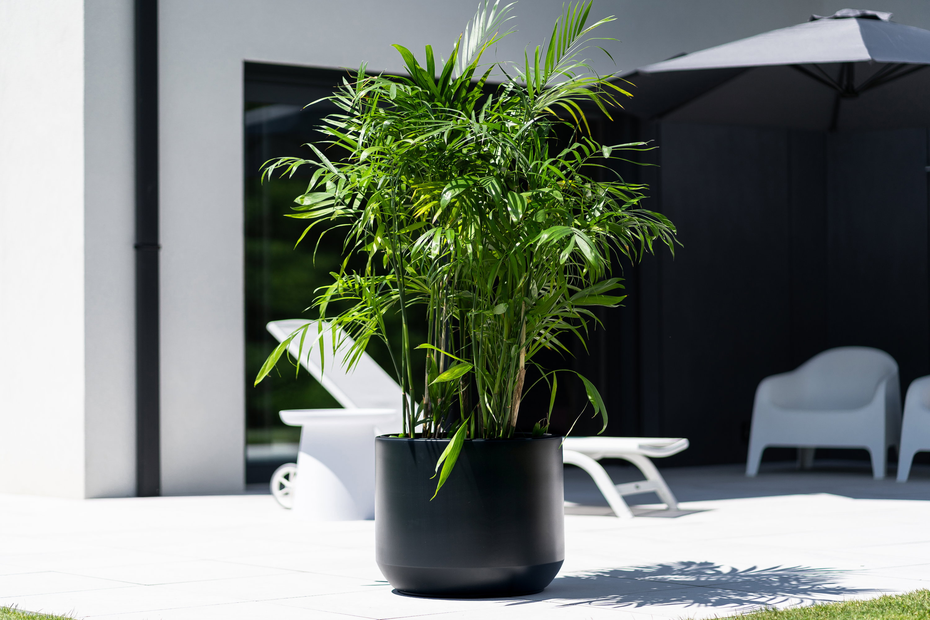 Prosperplast Pot de fleurs Heos