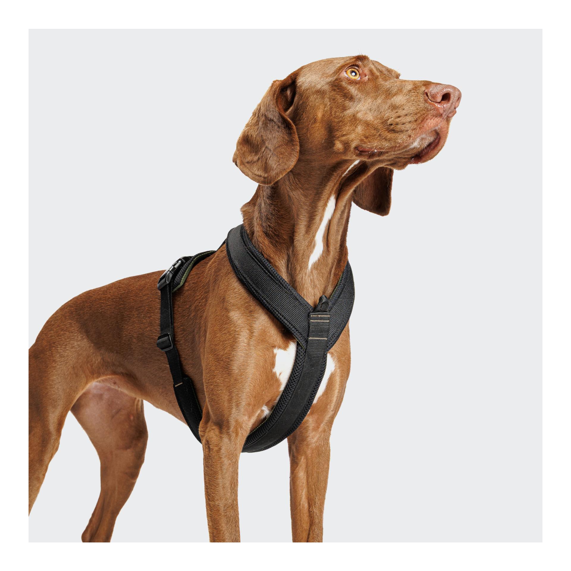Cloud 7 Y-1-Hundegeschirr Air-Mesh