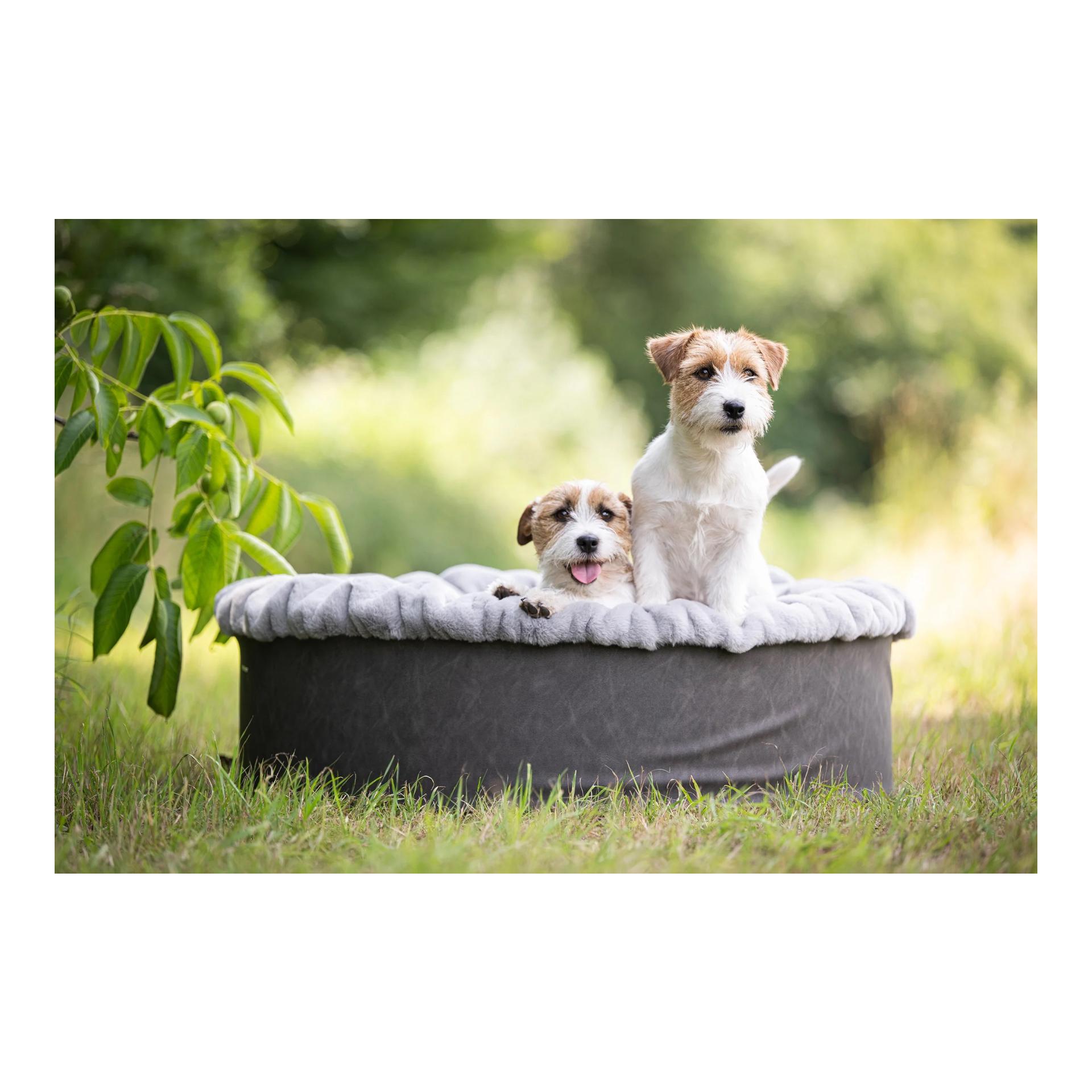 Dogspring by MAUL Hundebett Buddelnest®