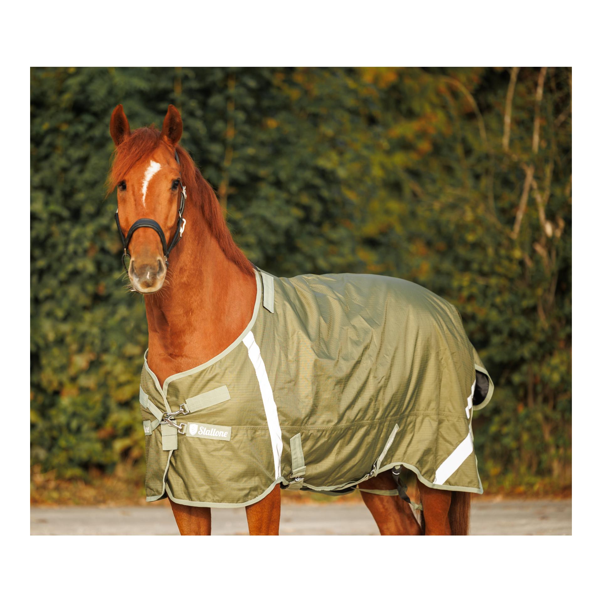 Stallone Weidedecke 100 g Outdoor Guard