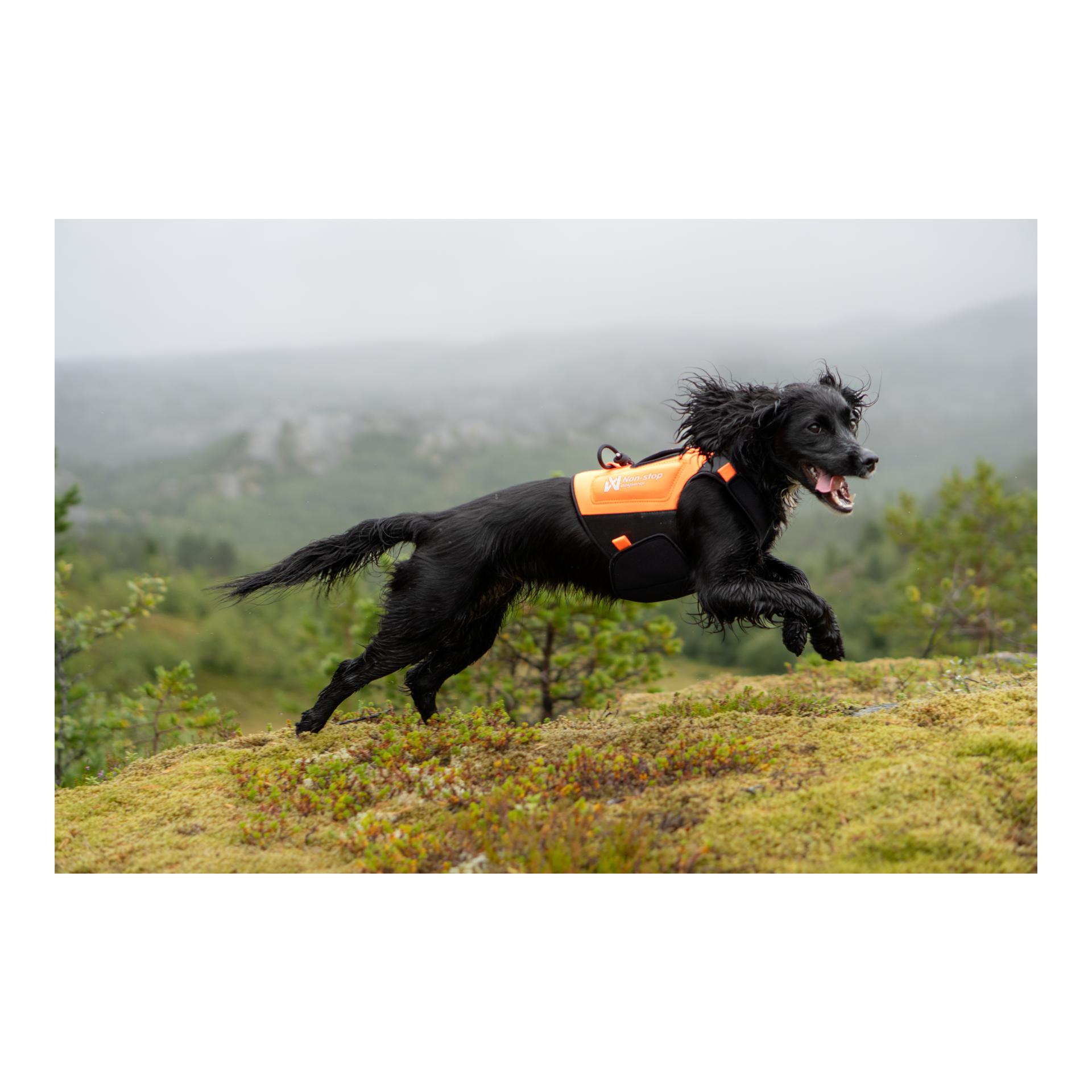 Non-stop Dogwear Gilet de protection en néoprène