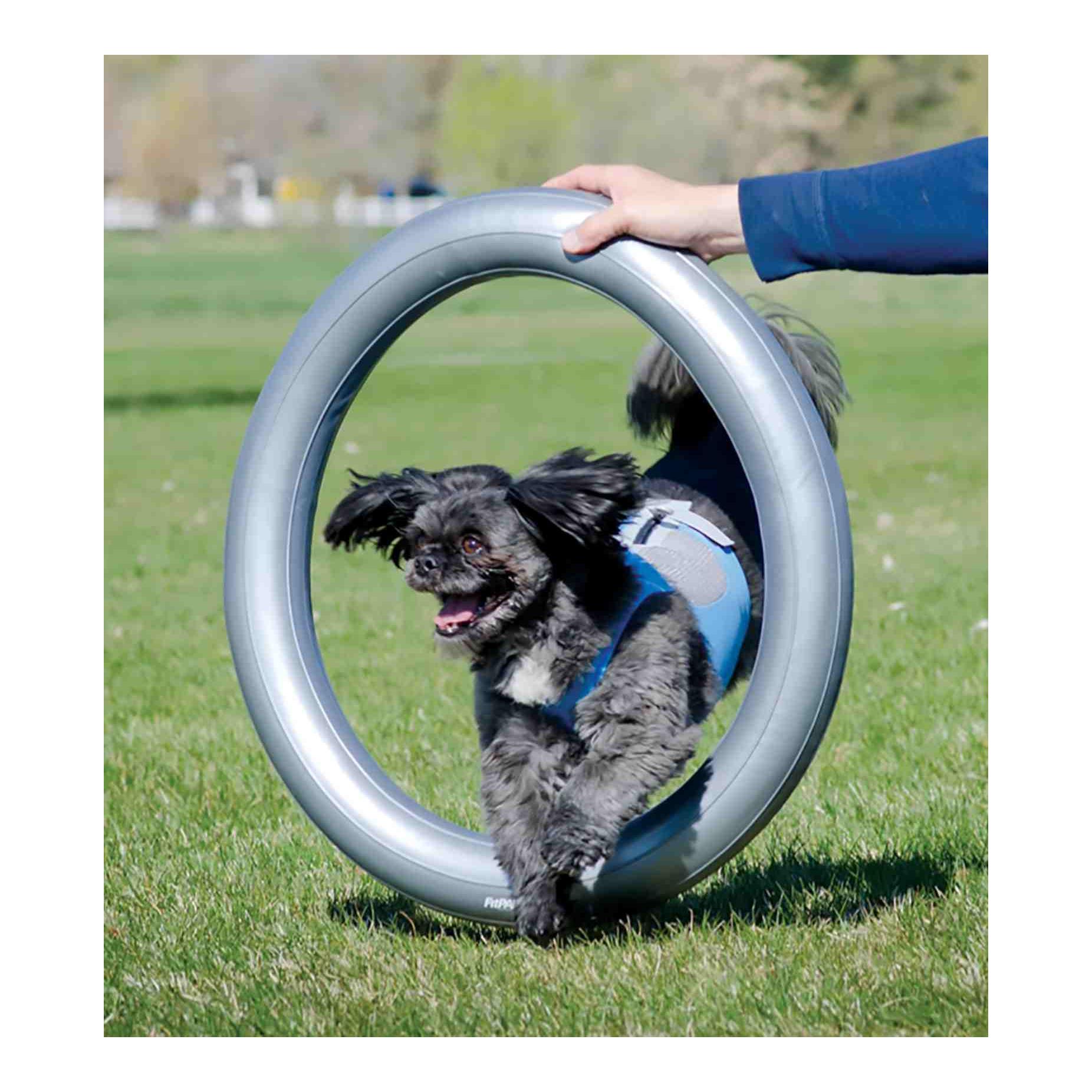 FitPaws Porte-donuts FitPAWS