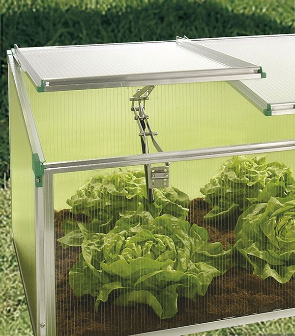 Juwel Premium-Frühbeet BIOSTAR 1500