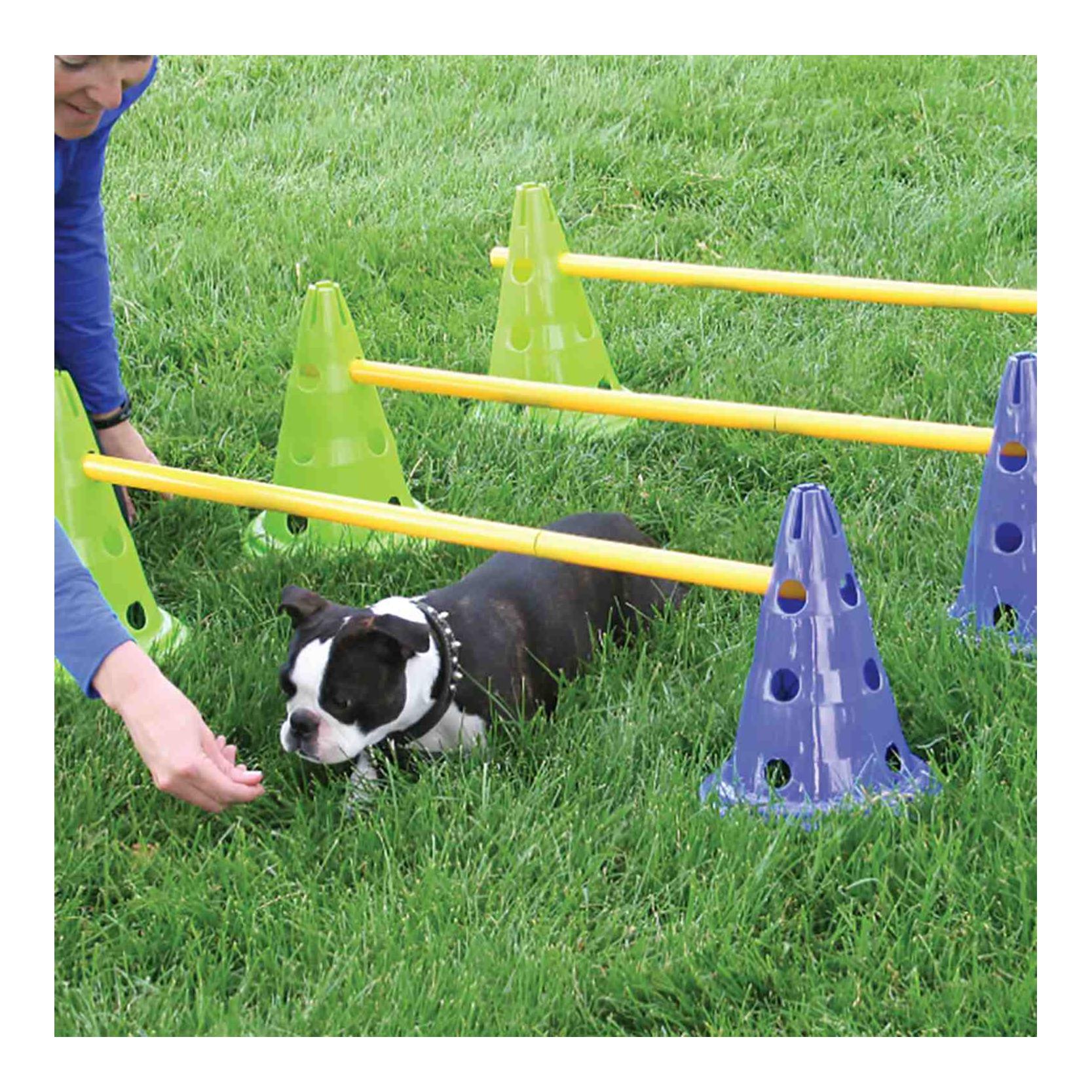 FitPaws Kit d'agilité