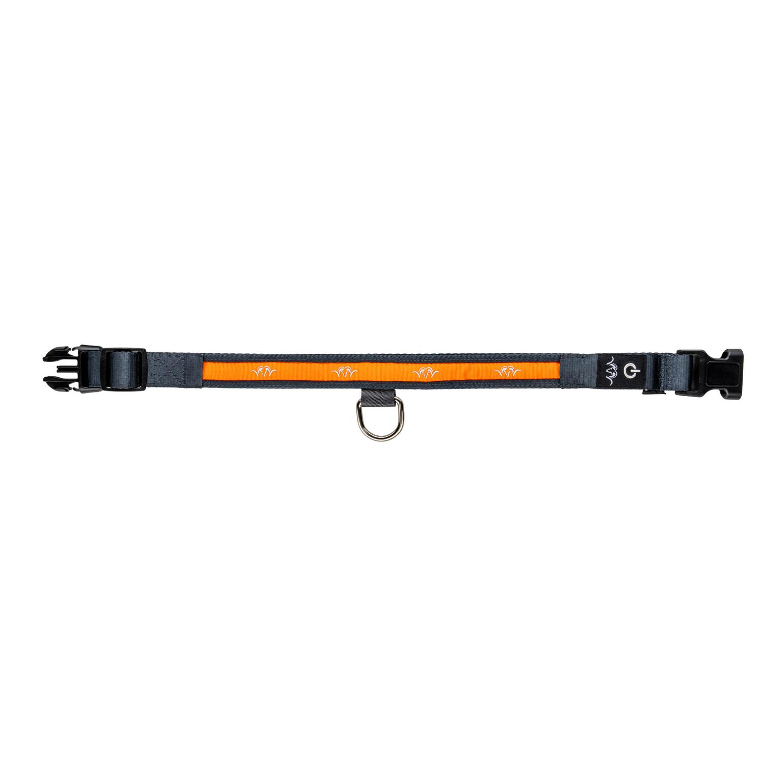 Blaser Collier LED