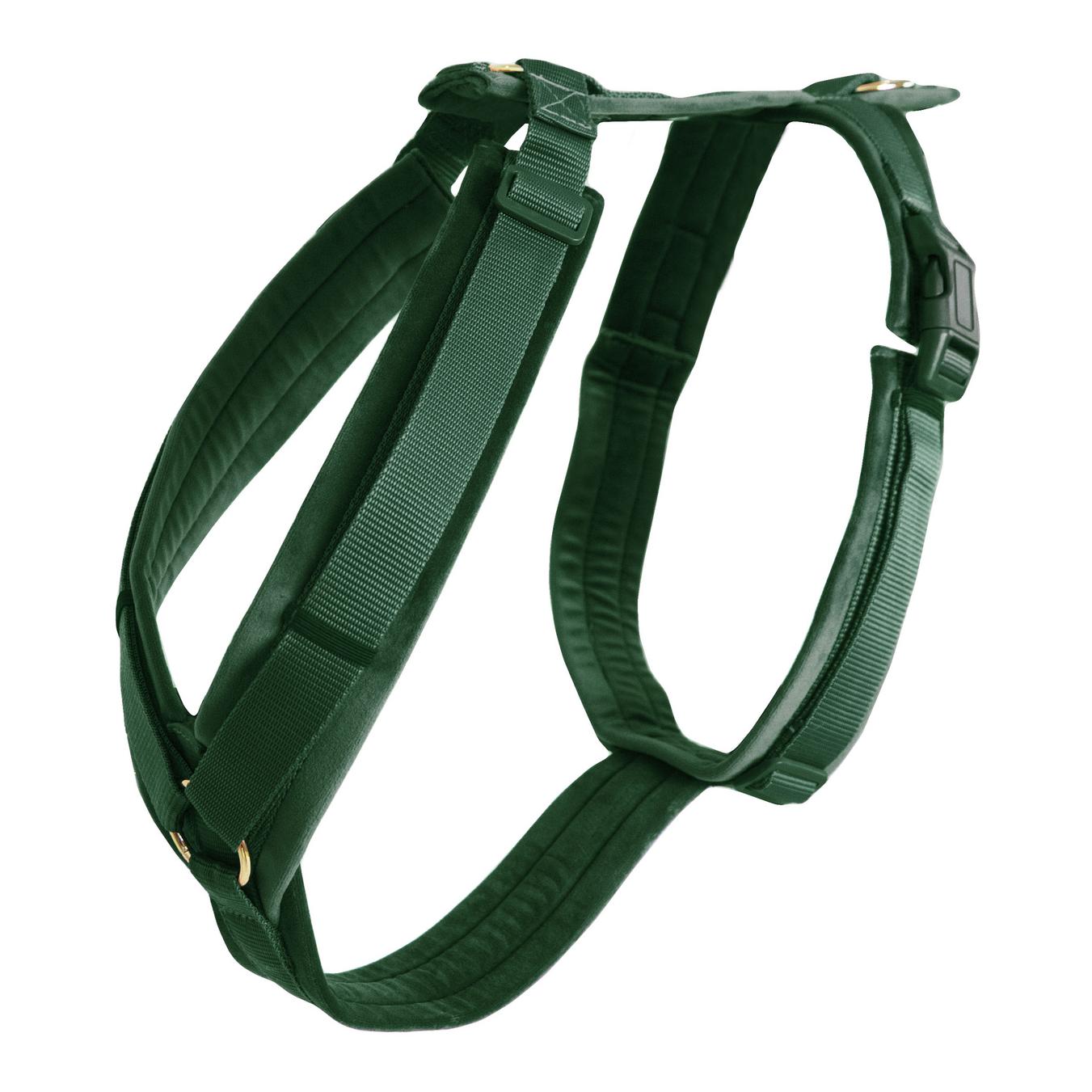 Kentucky Dogwear Harnais pour chien Active Velvet