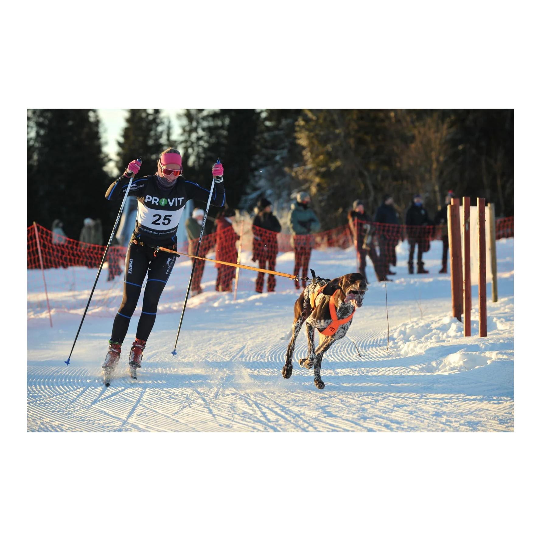 Non-stop Dogwear Løype Belt Pro - Ceinture ergonomique pour chien pour le skijöring