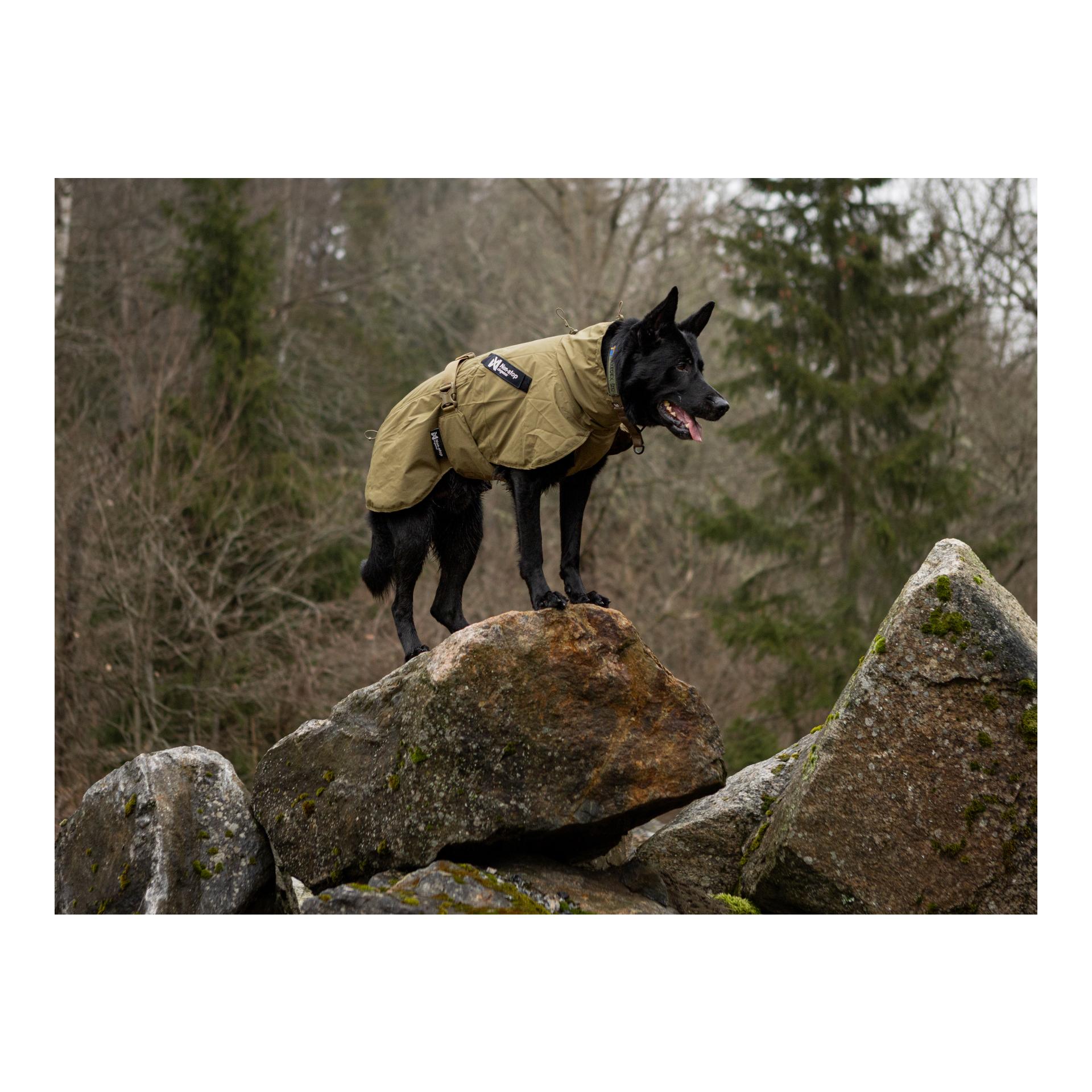 Non-stop Dogwear Fjord Regenmantel WD