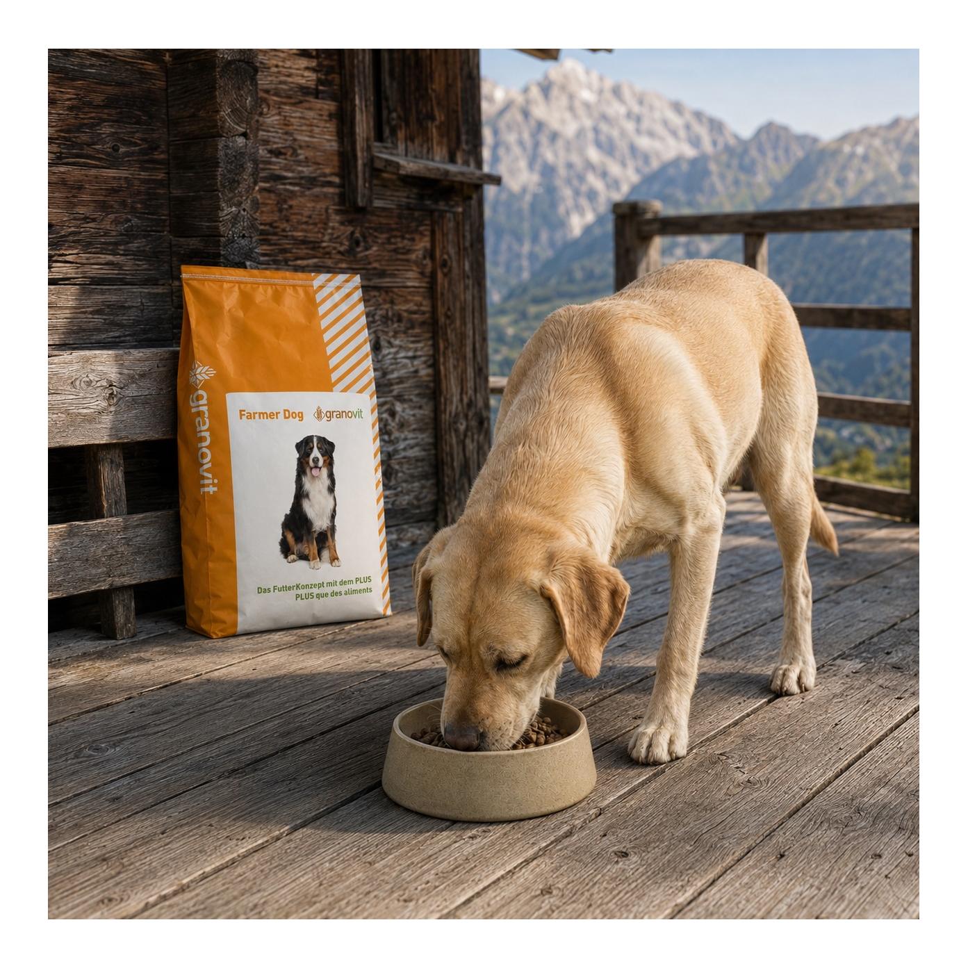 Farmer Dog Hundefutter Farmer Dog 1530