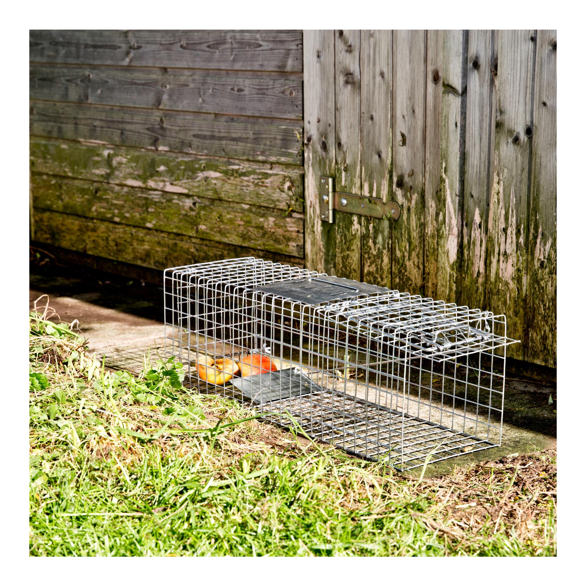 Windhager Piège à martres avec cage grillagée galvanisée