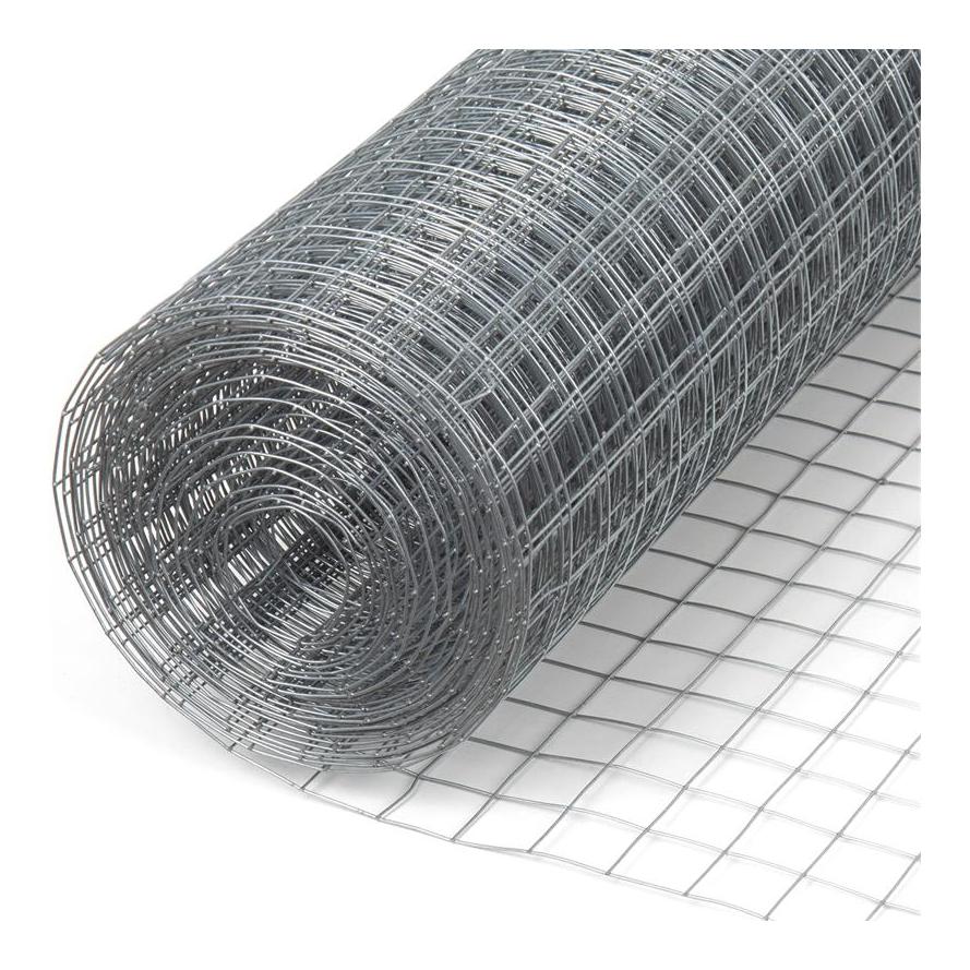 Hauptner Grillage métallique galvanisé - 19 x 1.05 mm