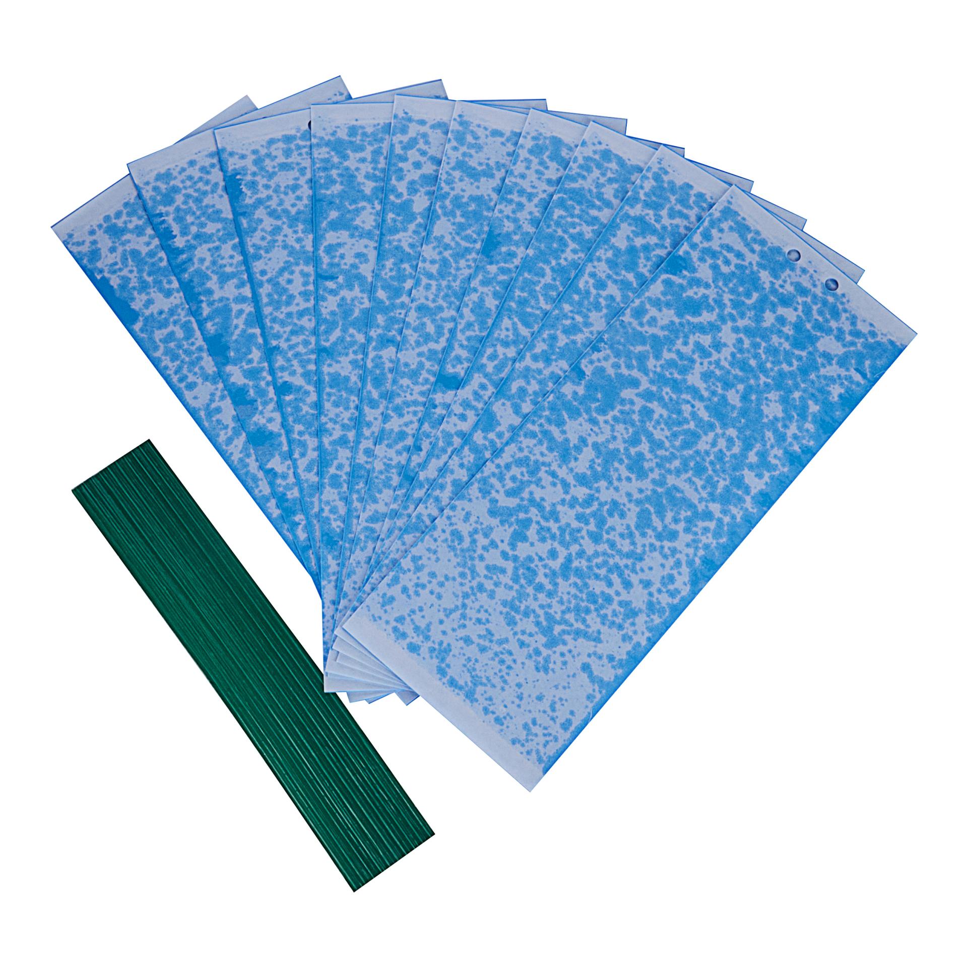 SWISSINNO Klebetafeln für Thripse - Blaufallen