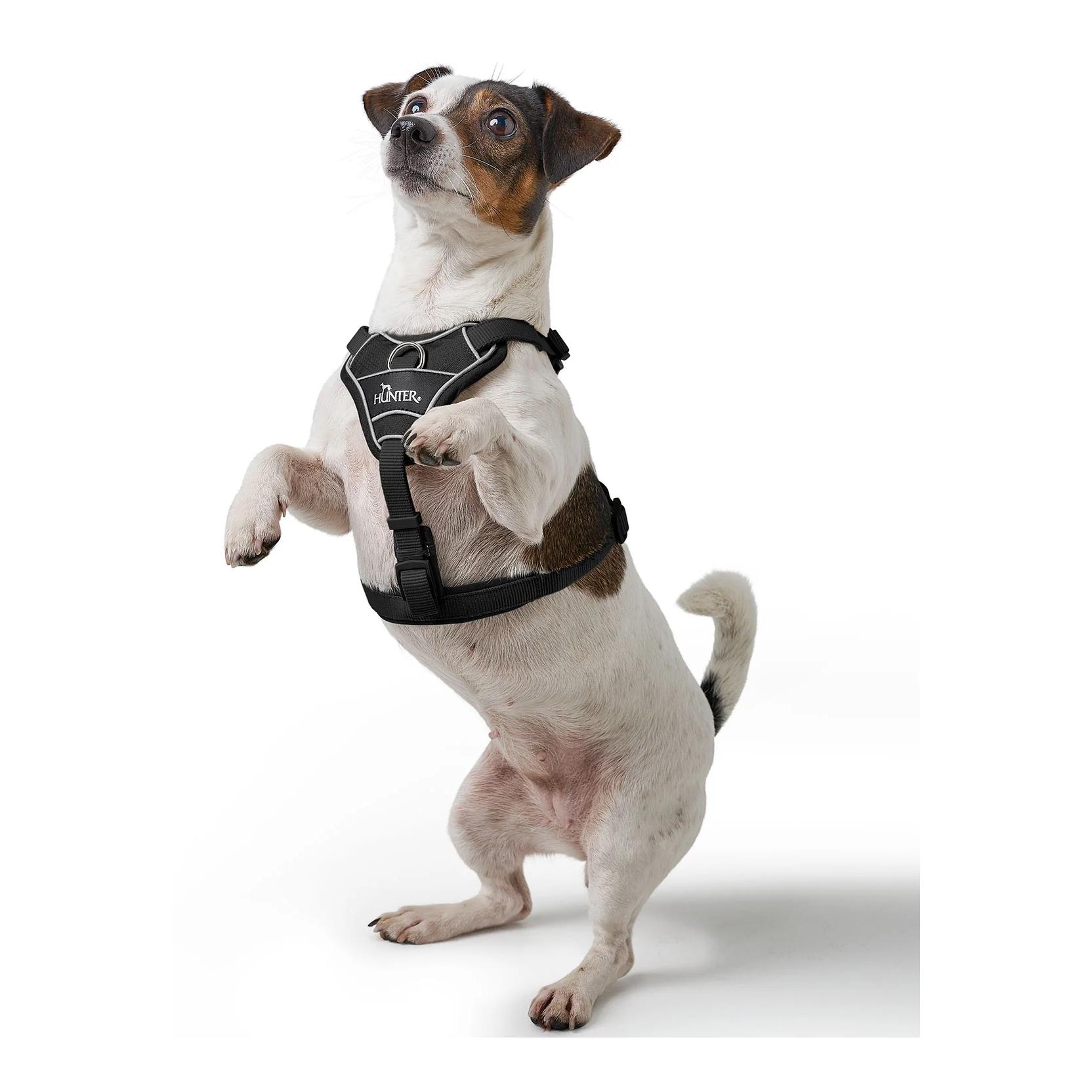 Hunter Hundegeschirr Divo Up