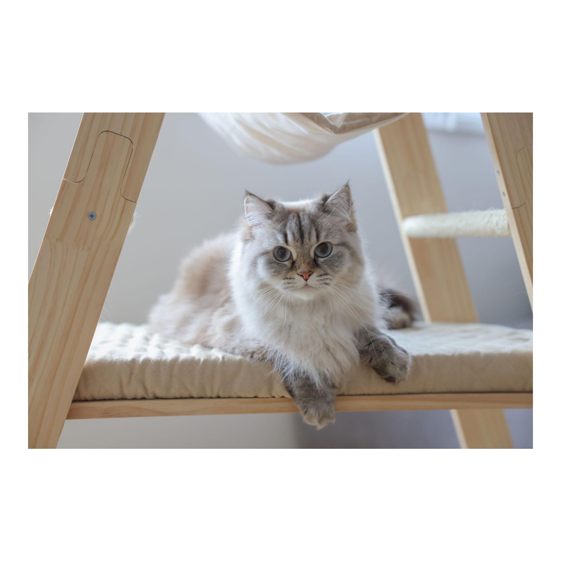 Kerbl Pet Kratzbaum Ladder