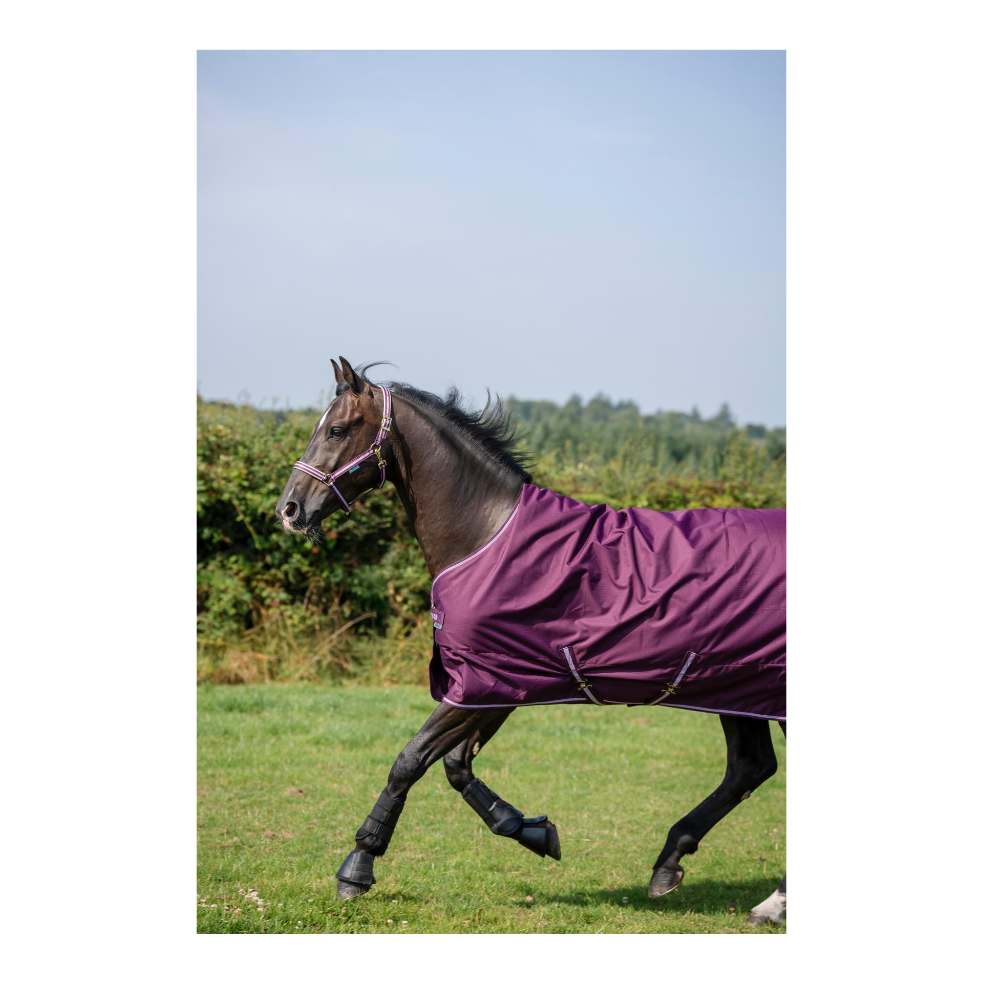 Bucas Weidedecke Freedom Turnout Ligh 0g