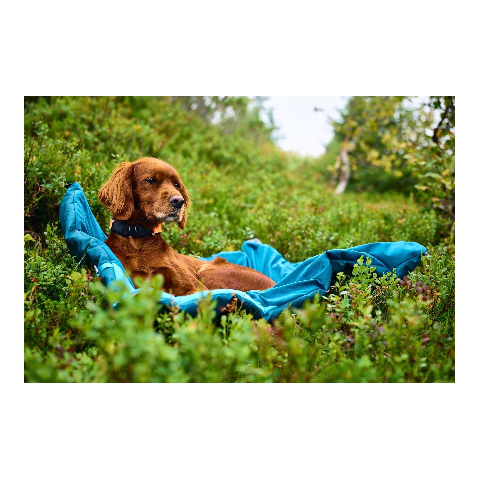 Non-stop Dogwear Hundebett Trekking Dog Bed