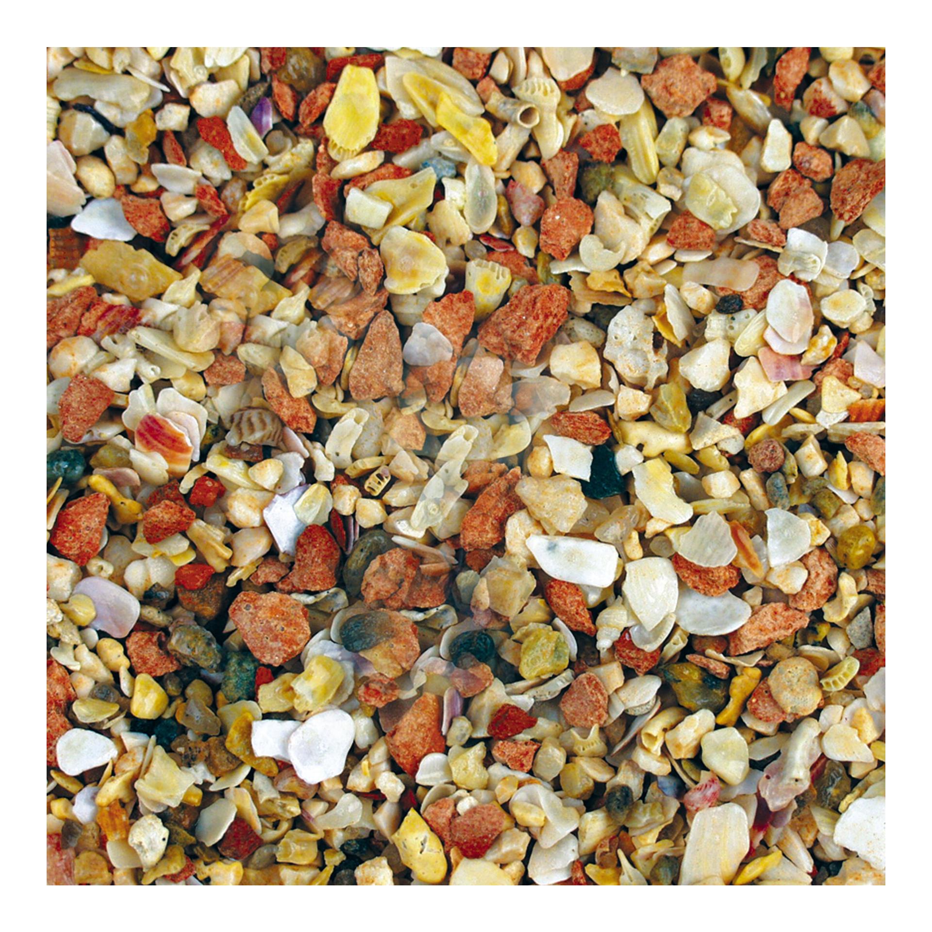 Röhnfried Grit à l'anis - coquillages, pierres calcaires, quartz et pierres rouges à l'anis