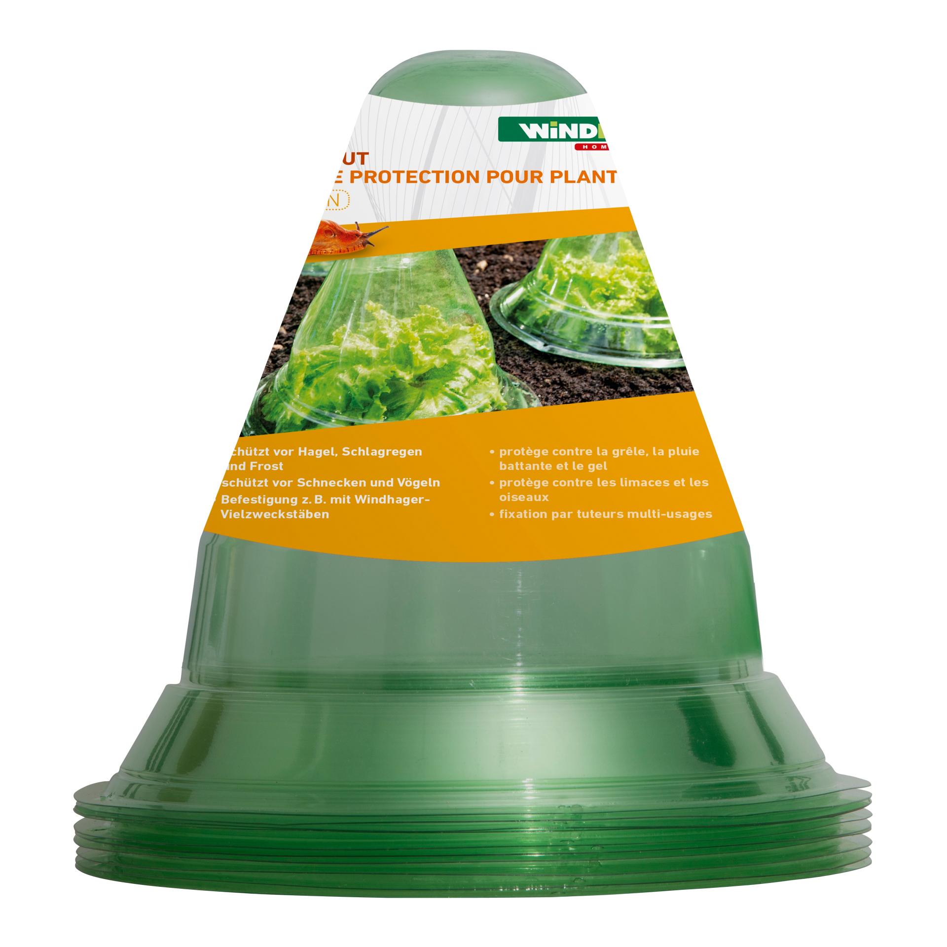 Windhager Pflanzenhut Transparent