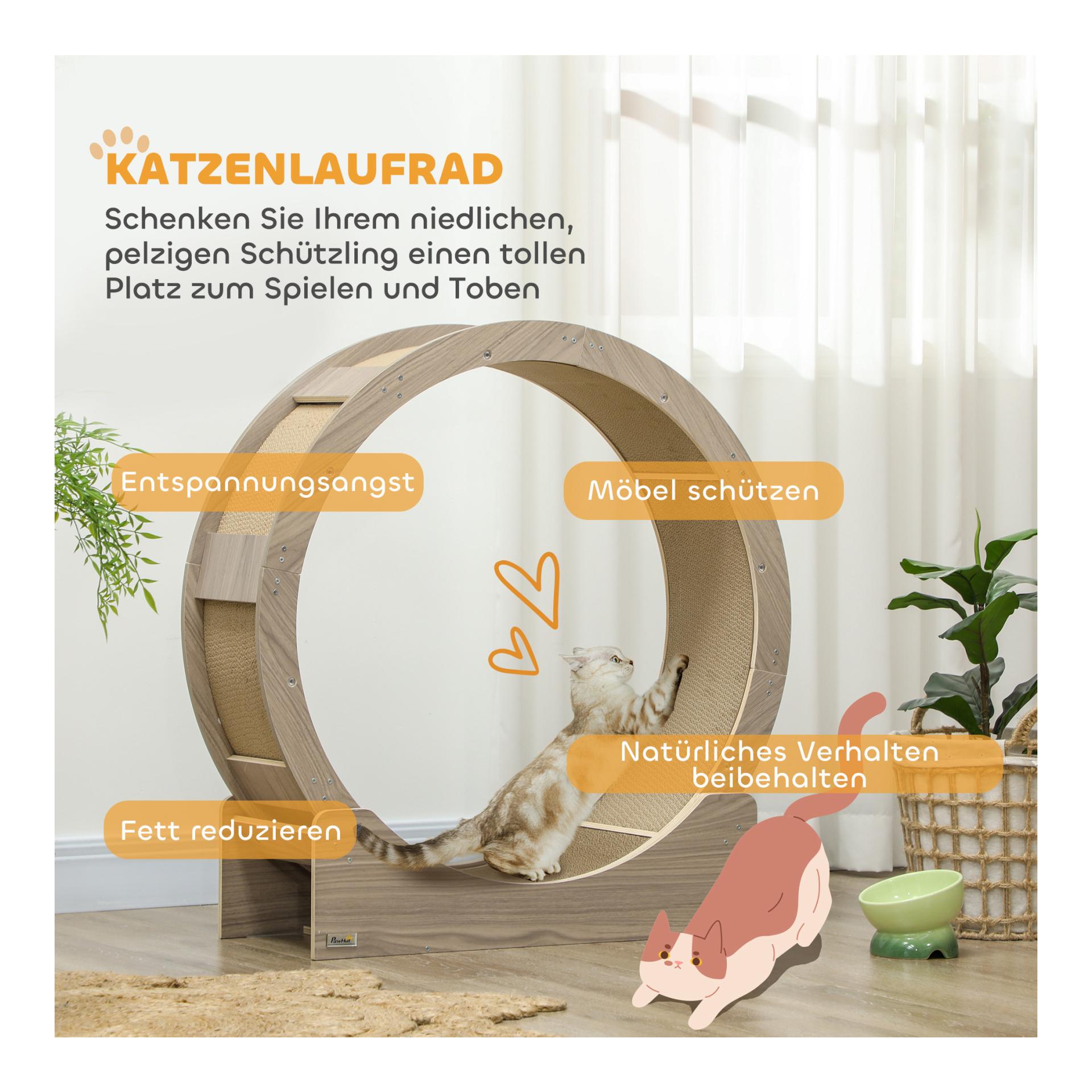 Mainer Katzenlaufrad
