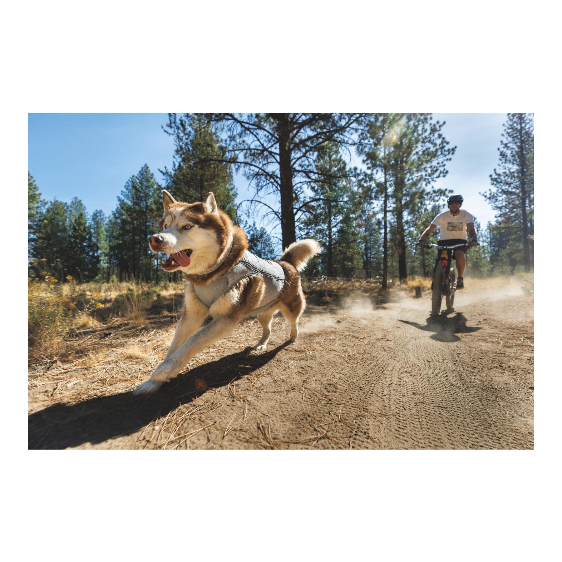 Ruffwear Kühlende Hundeweste Swamp Cooler Zip