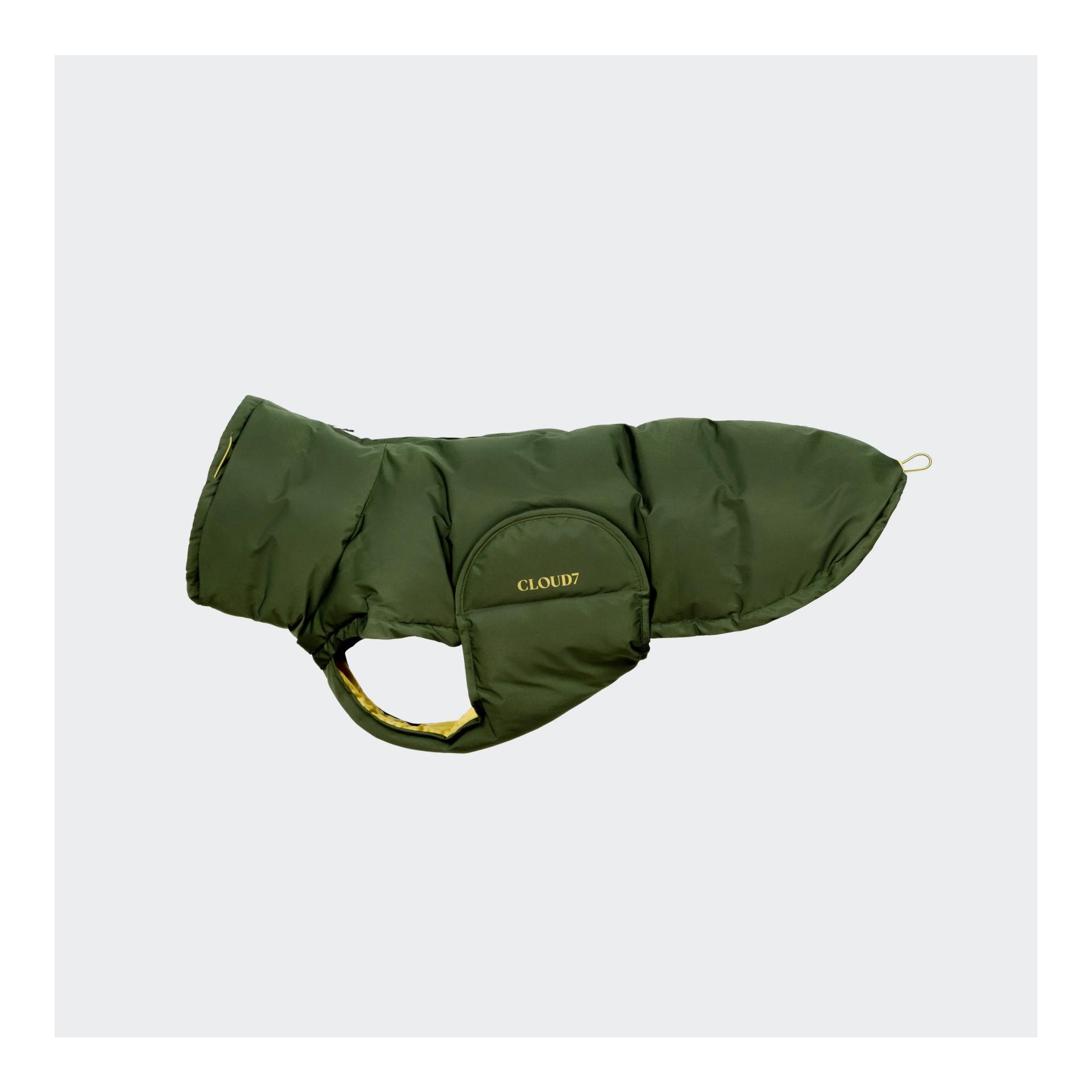 Olive