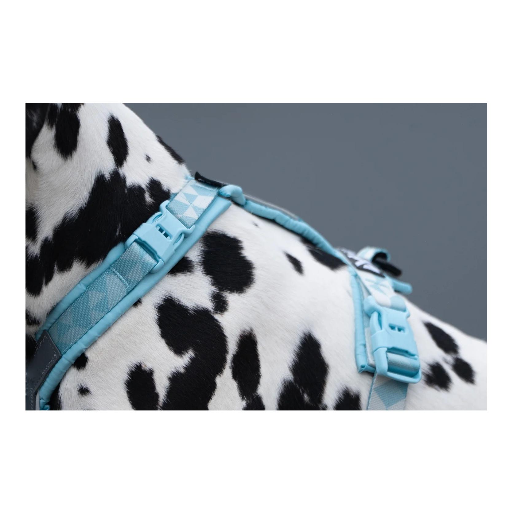 Non-stop Dogwear Hundegeschirr Trekking line harness CLIP'N™