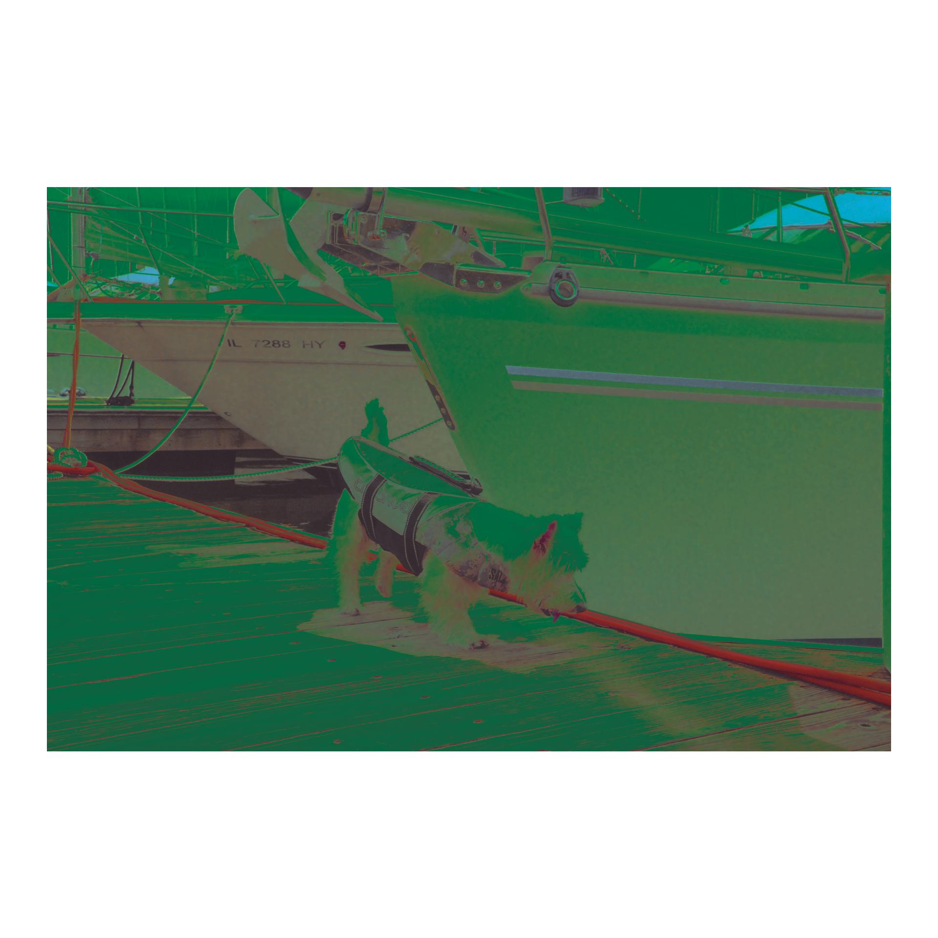 PetEgo Hundeschwimmweste camo
