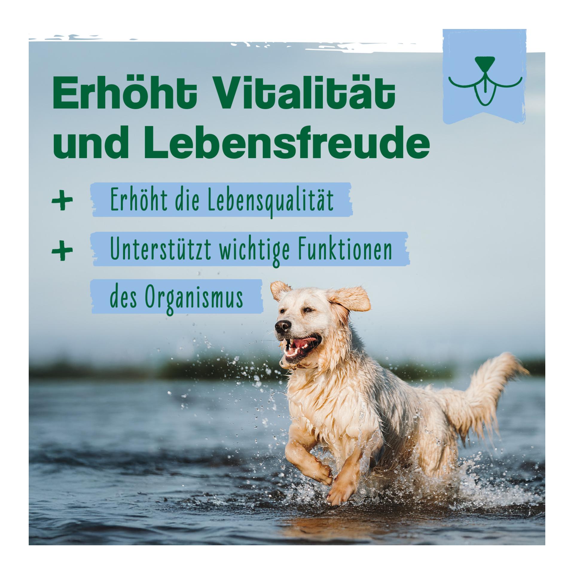 IdaPlus MultiVit Complex für Hunde