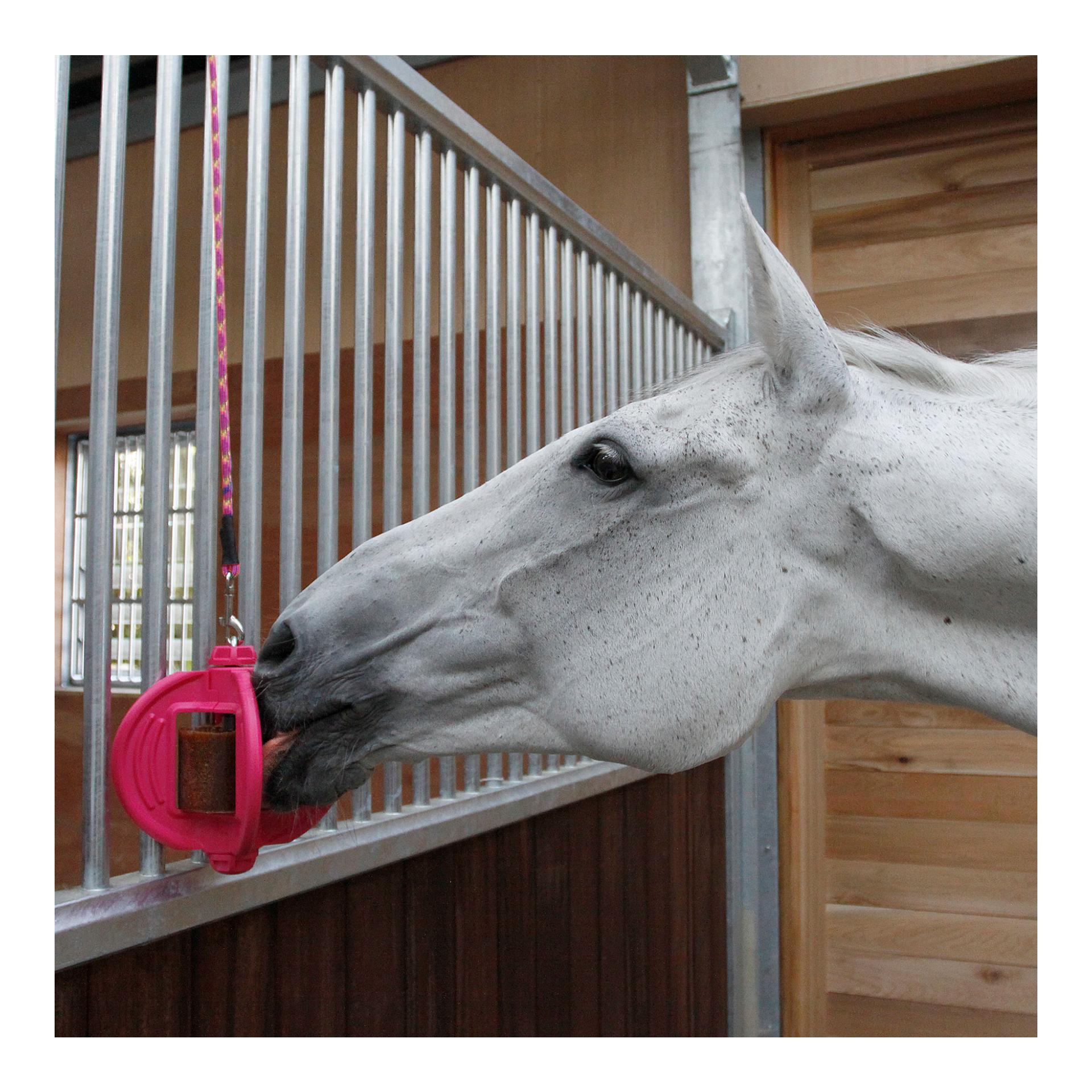 Bizzy Horse Bizzy Ball - pink