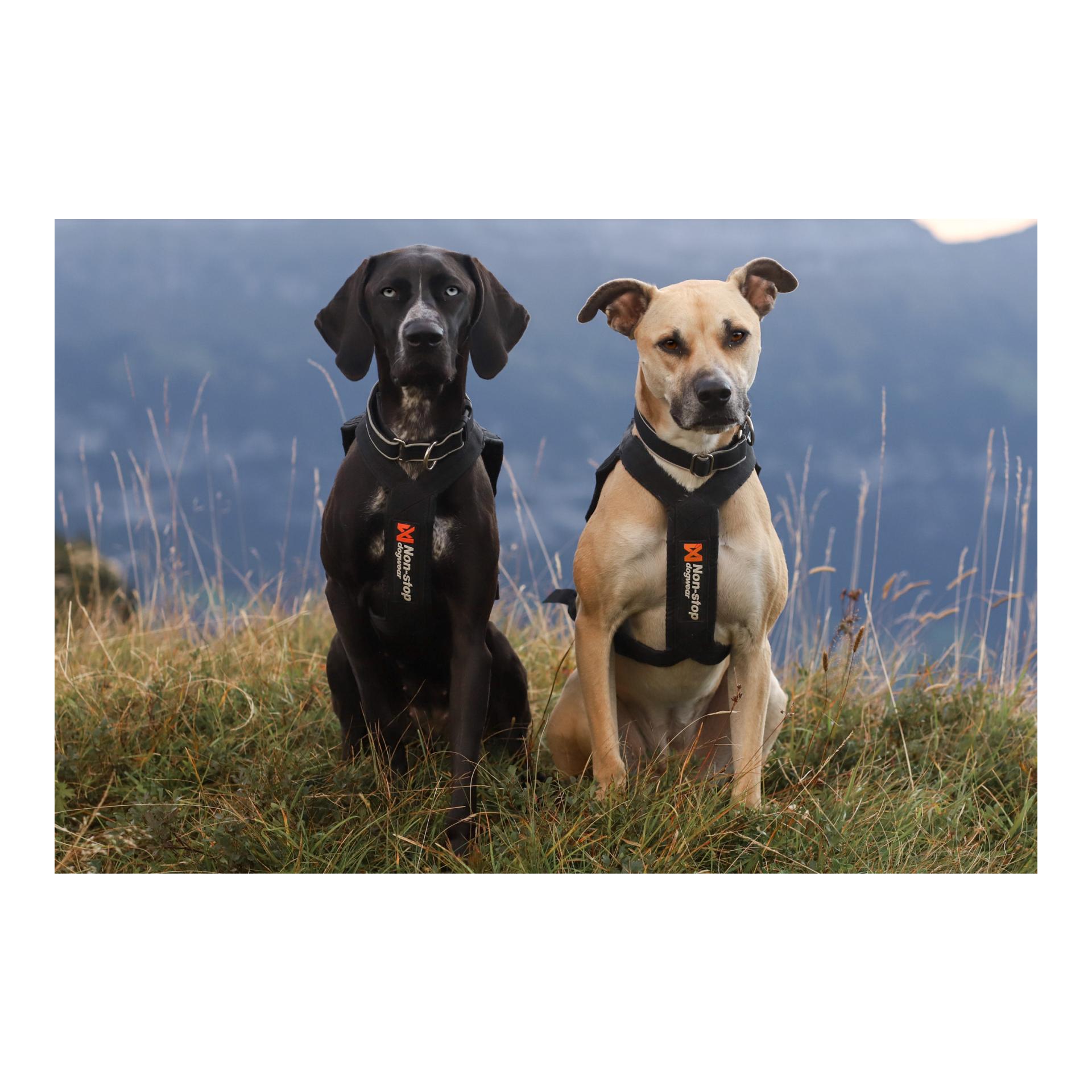 Non-stop Dogwear Collier polaire
