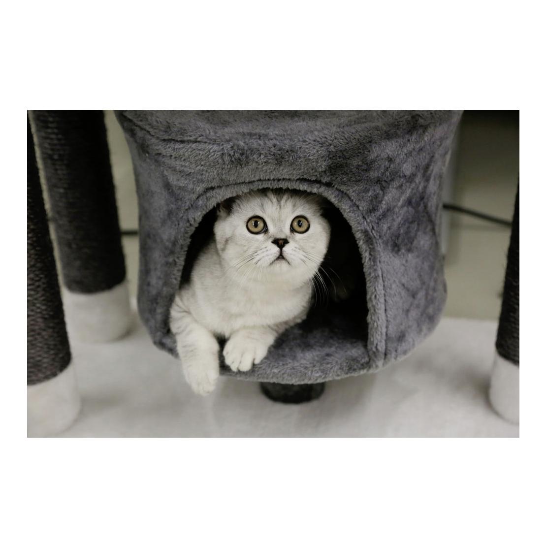 Kerbl Pet Arbre à chat Jade Darklight - blanc/gris