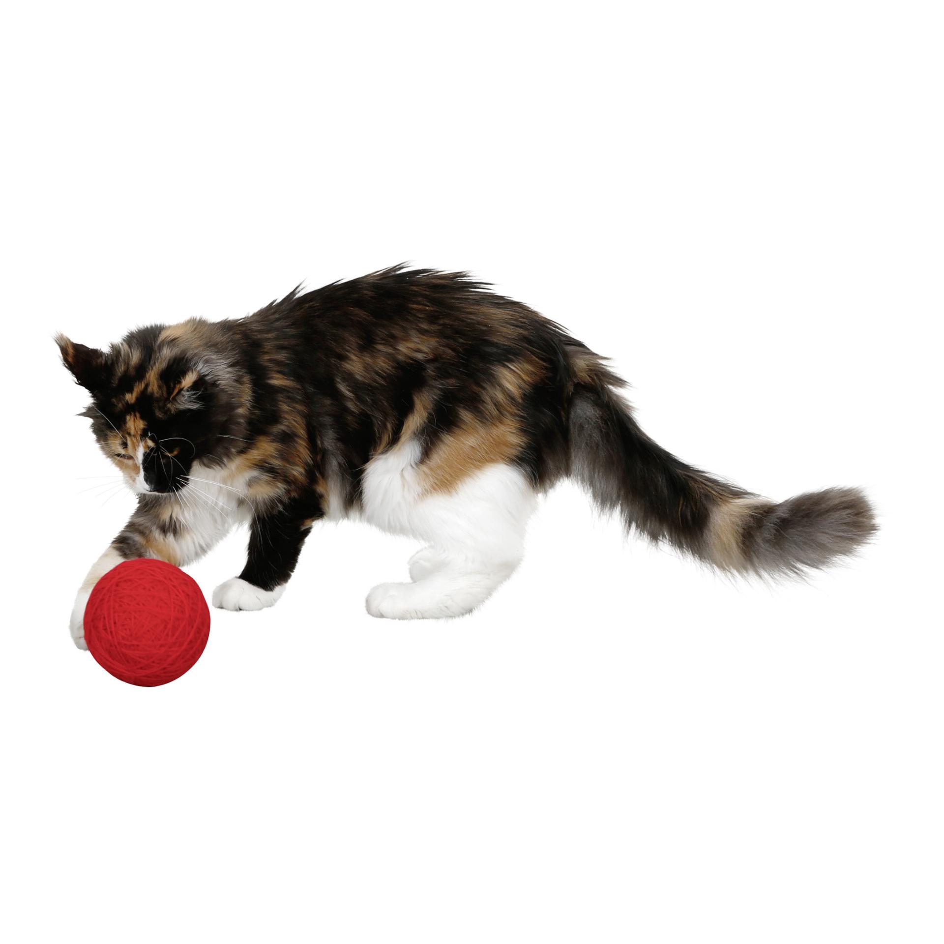 Kerbl Pet Wollspielball für Katzen Rot