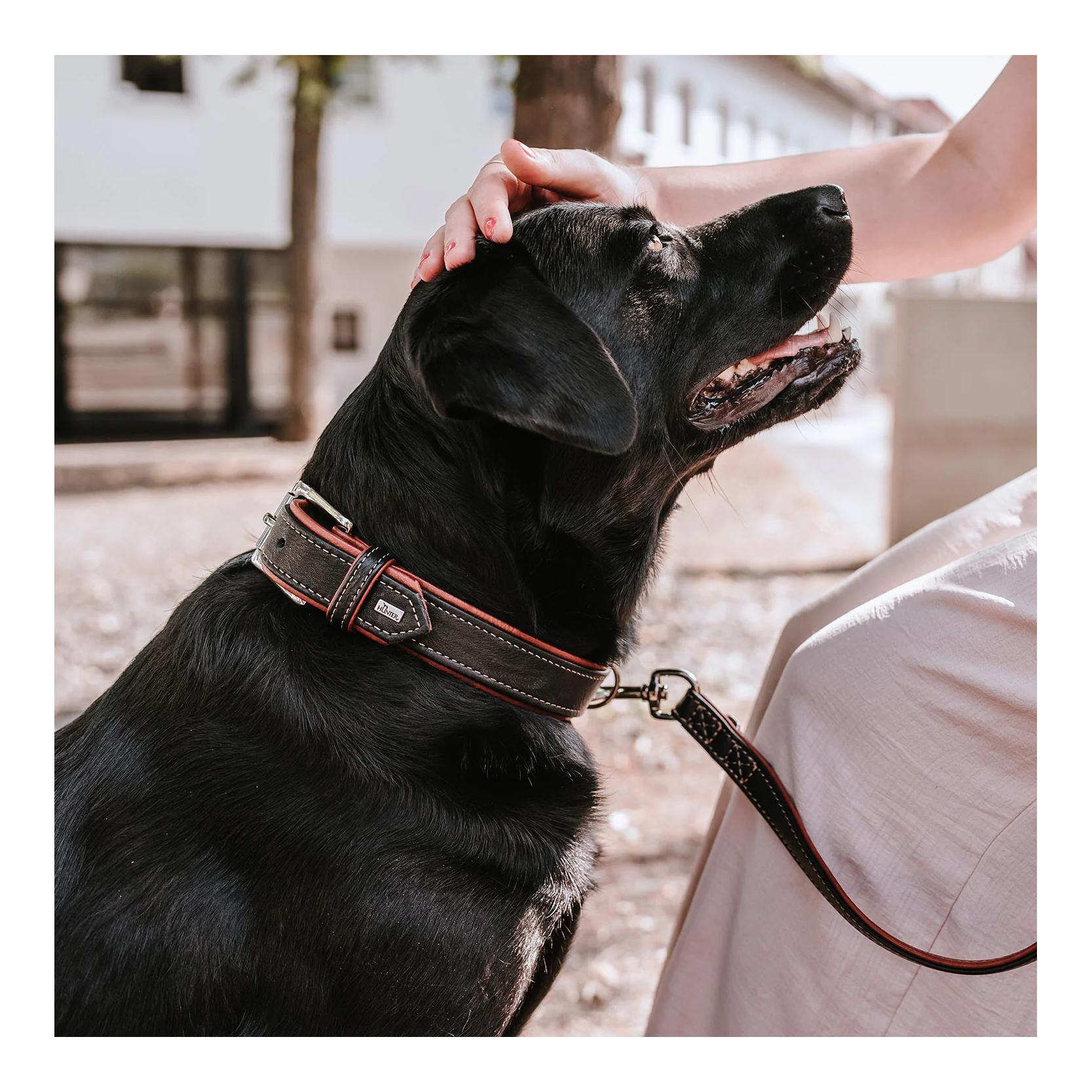 Hunter Halsband Canadian Up
