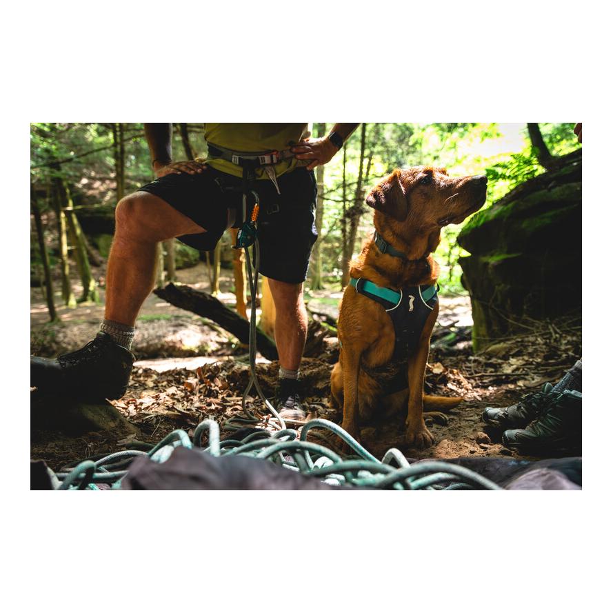 Ruffwear Flagline™ Hundegeschirr